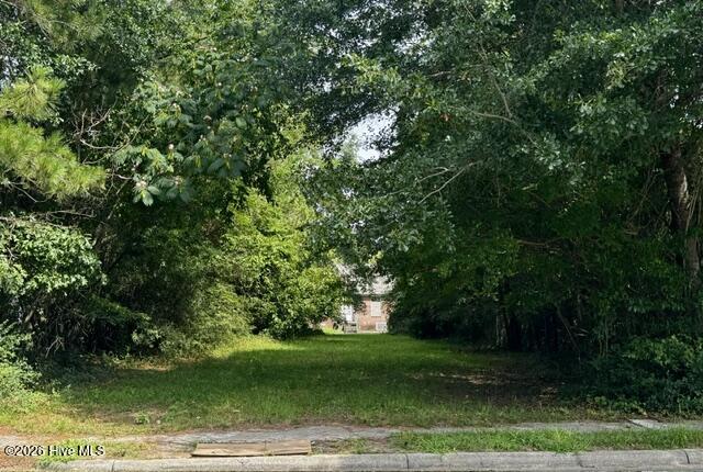 1112 Bradley Avenue Property Photo 6