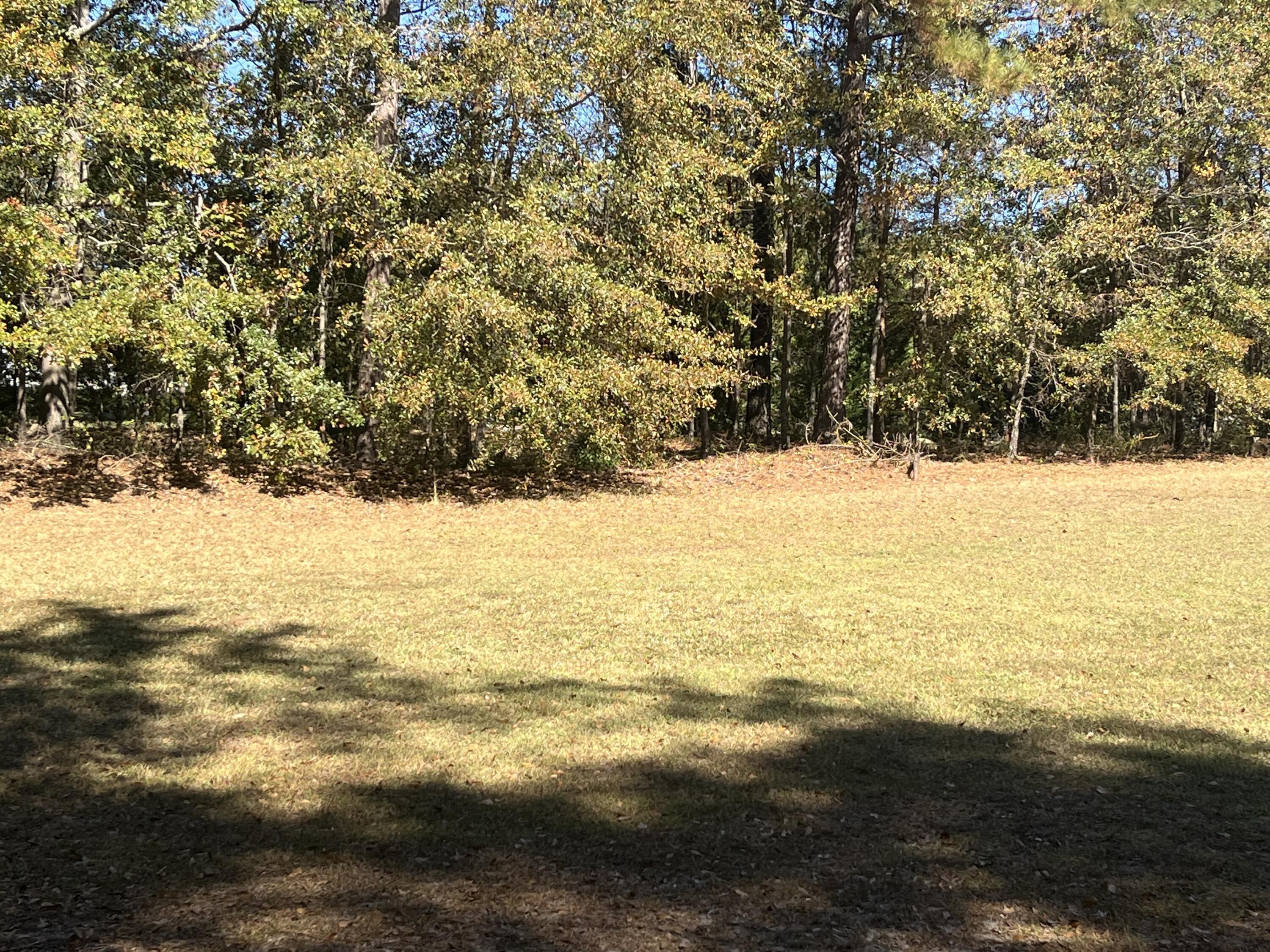 110 Stratford Lane Property Photo 16