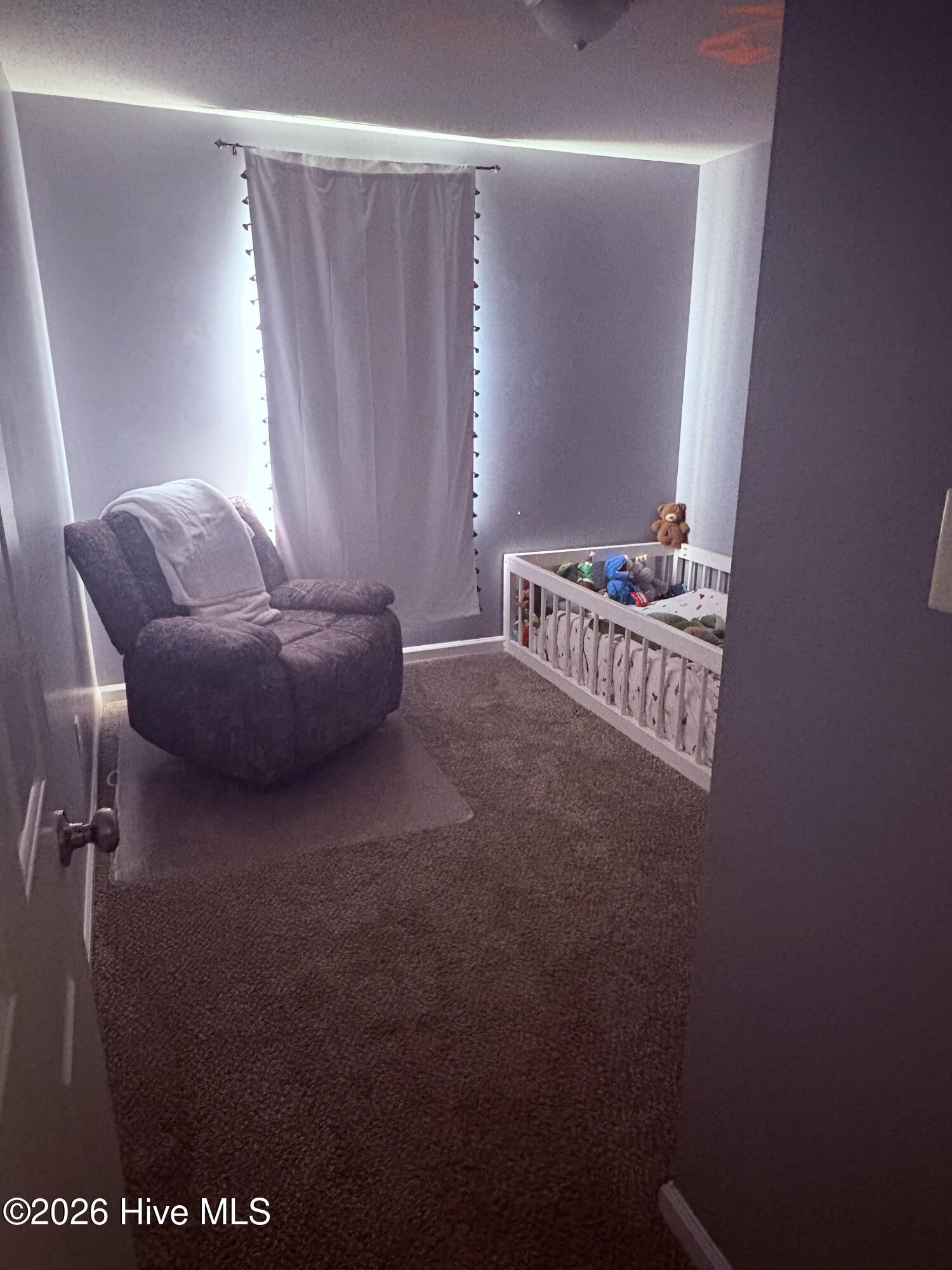 105 Fodder Drive Property Photo 29