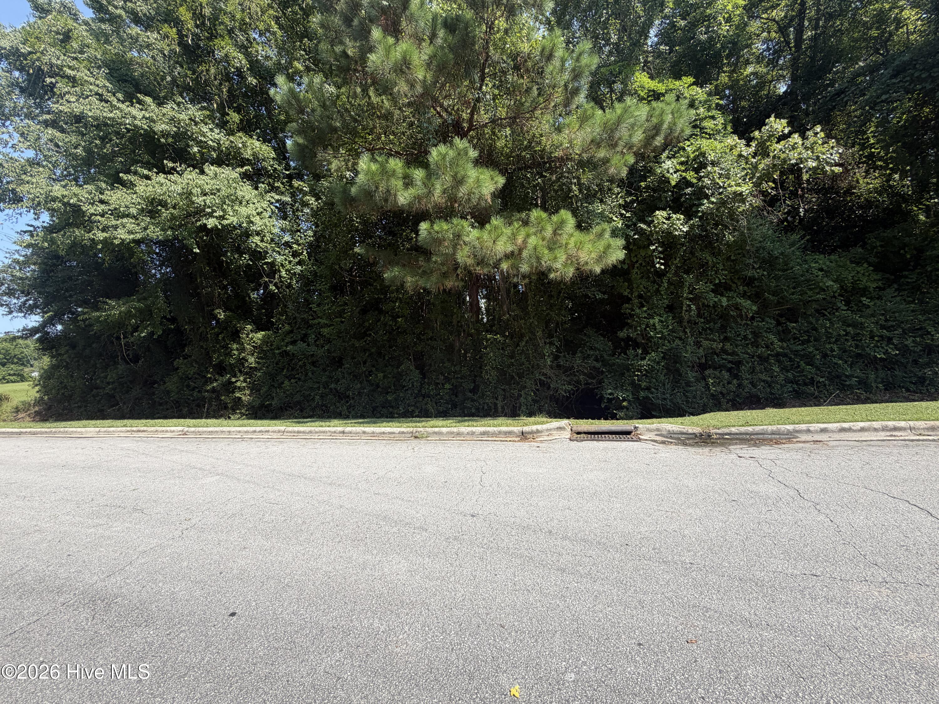 260 Sylvester Street Property Photo 3