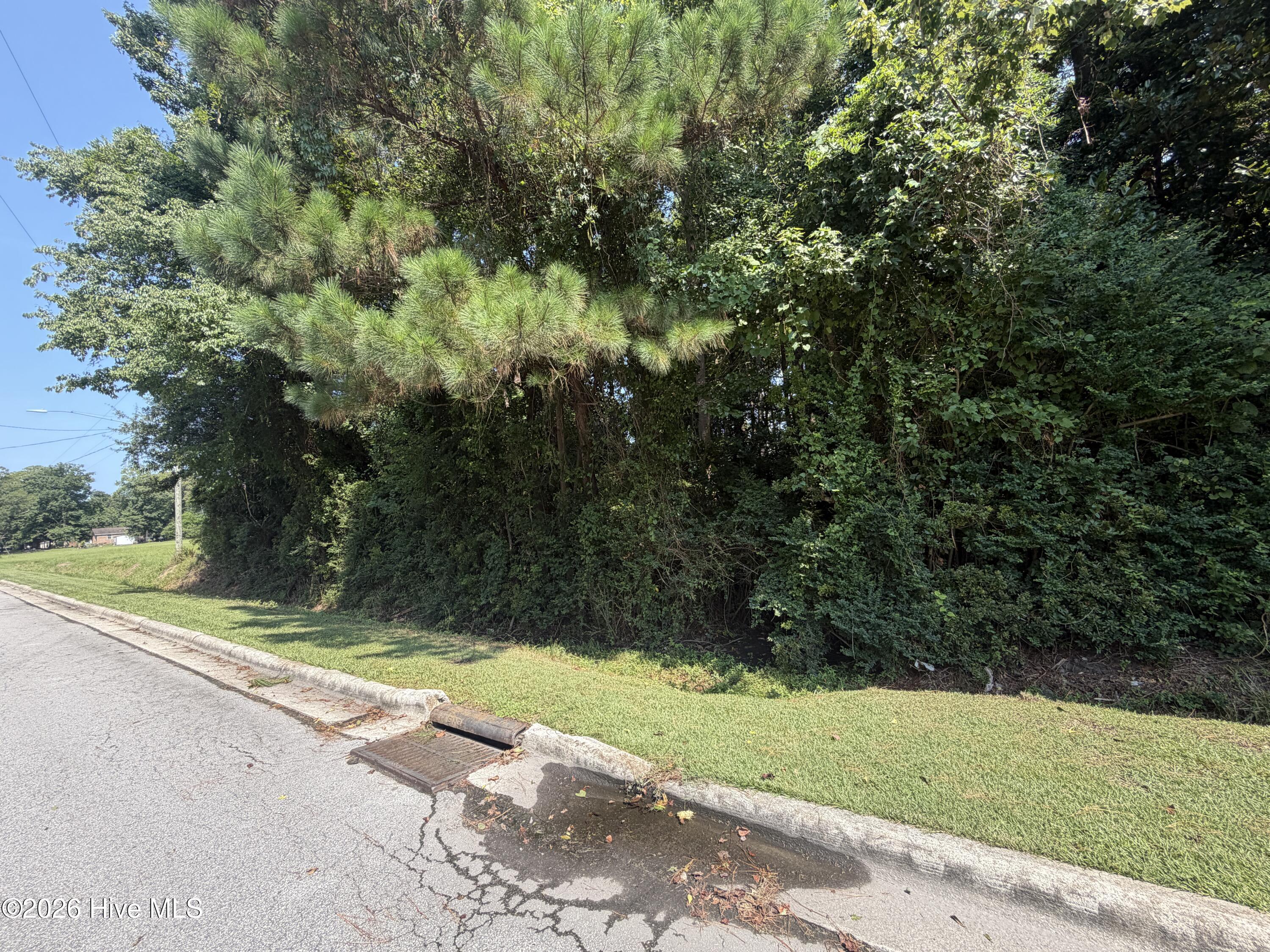 260 Sylvester Street Property Photo 4