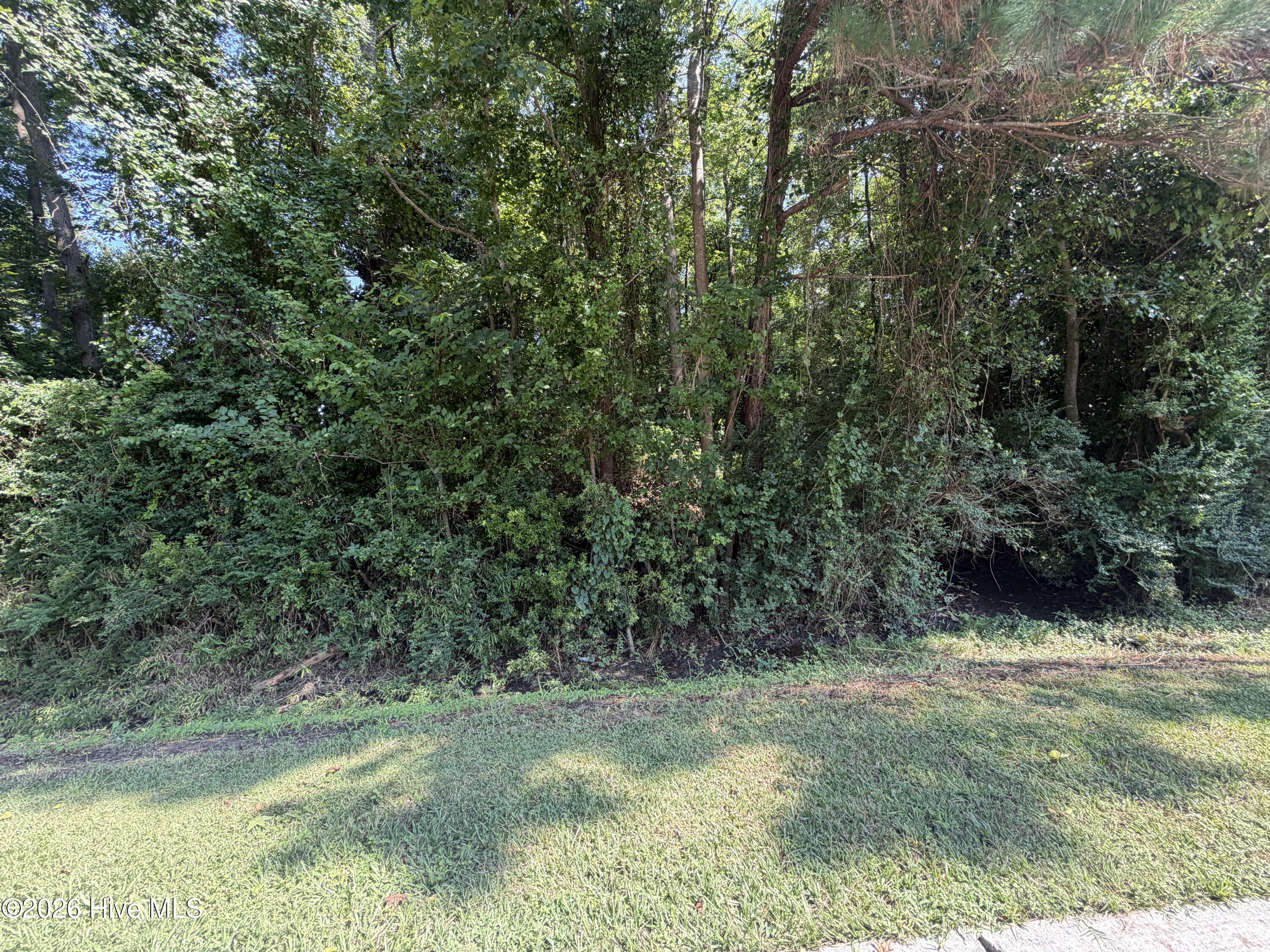 260 Sylvester Street Property Photo 6