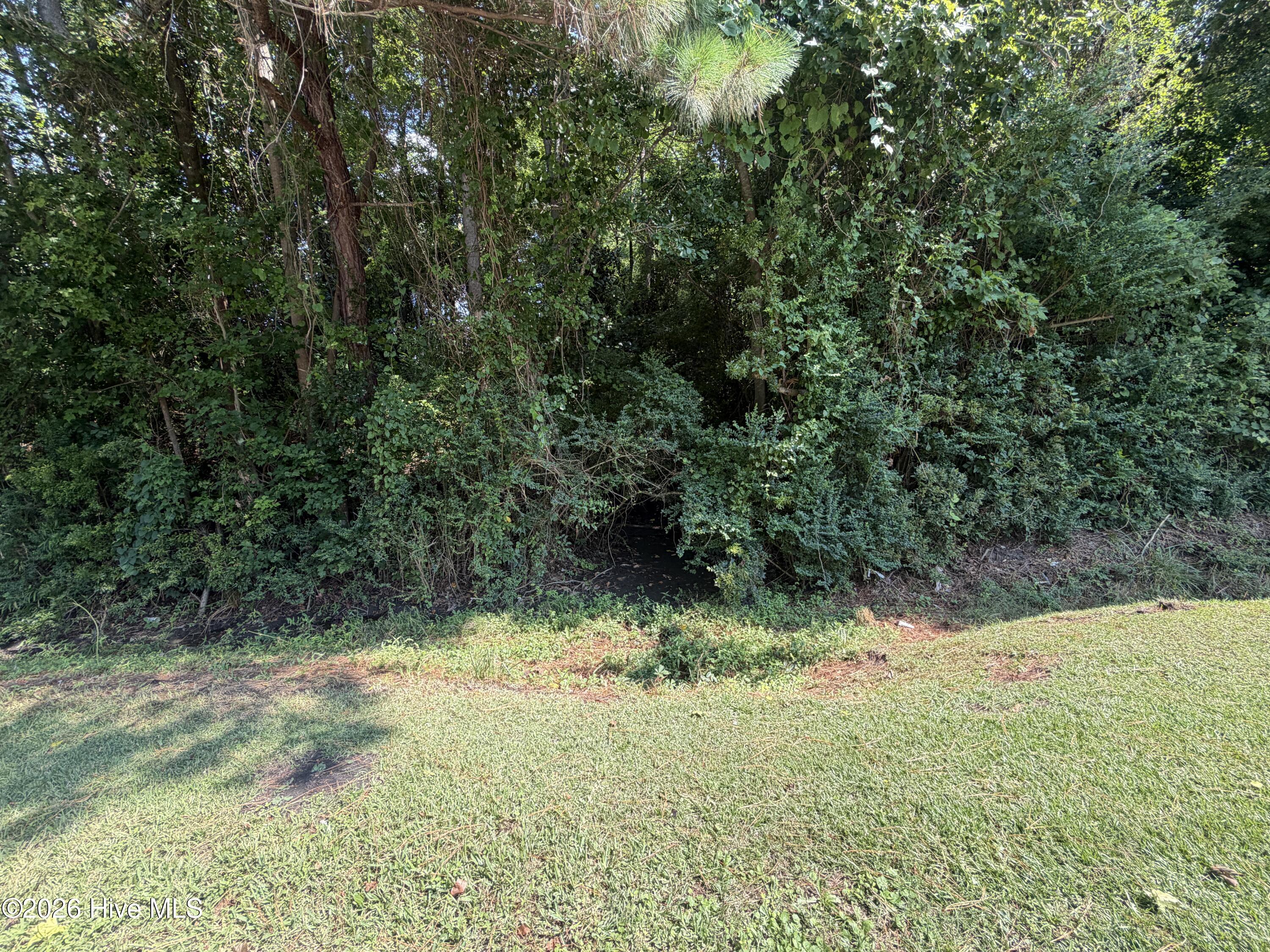 260 Sylvester Street Property Photo 7