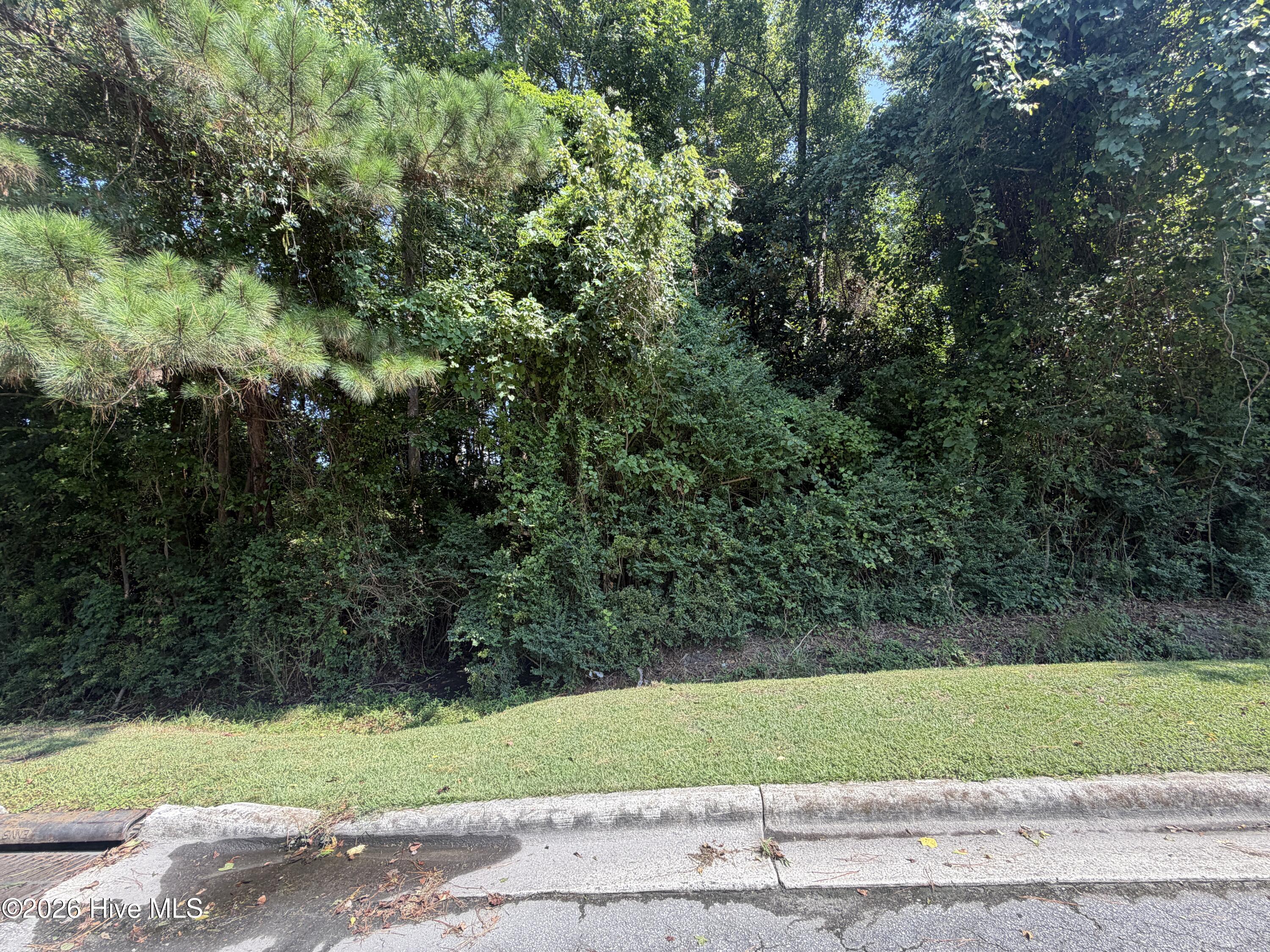 260 Sylvester Street Property Photo 8