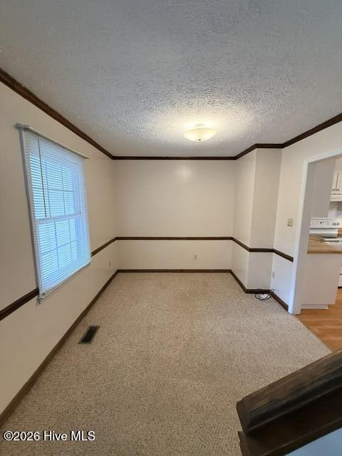 236 Manchester Road Property Photo 6