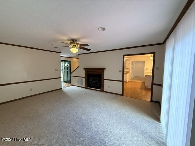 236 Manchester Road Property Photo 8