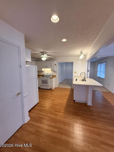 236 Manchester Road Property Photo 14