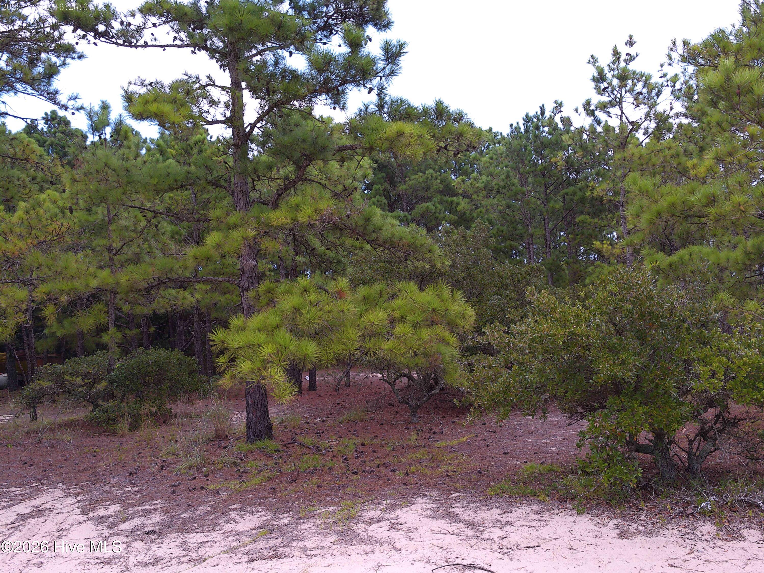 2327 14 False Cape Road Property Photo 4
