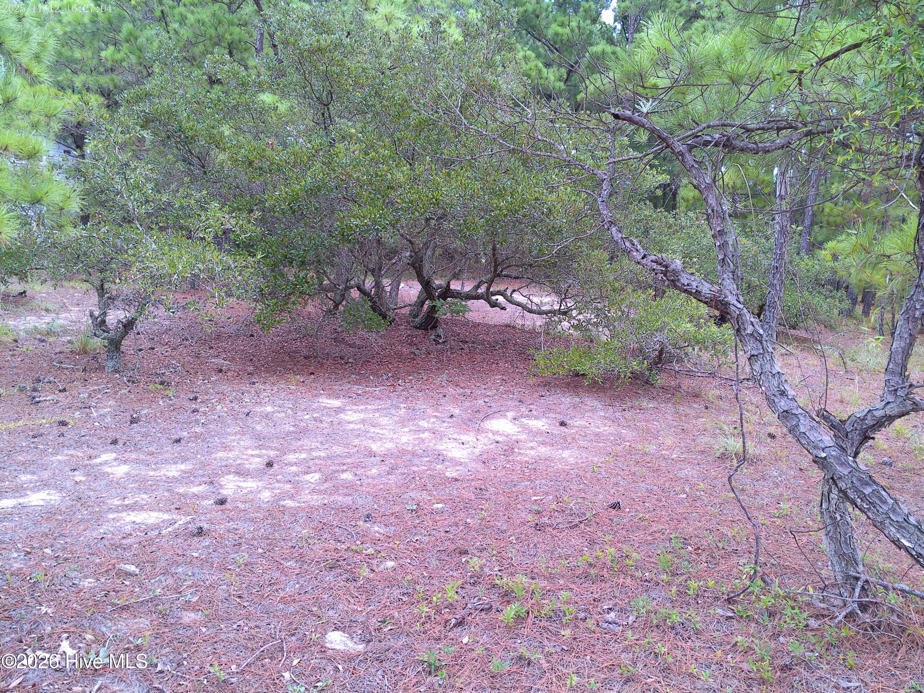 2327 14 False Cape Road Property Photo 5