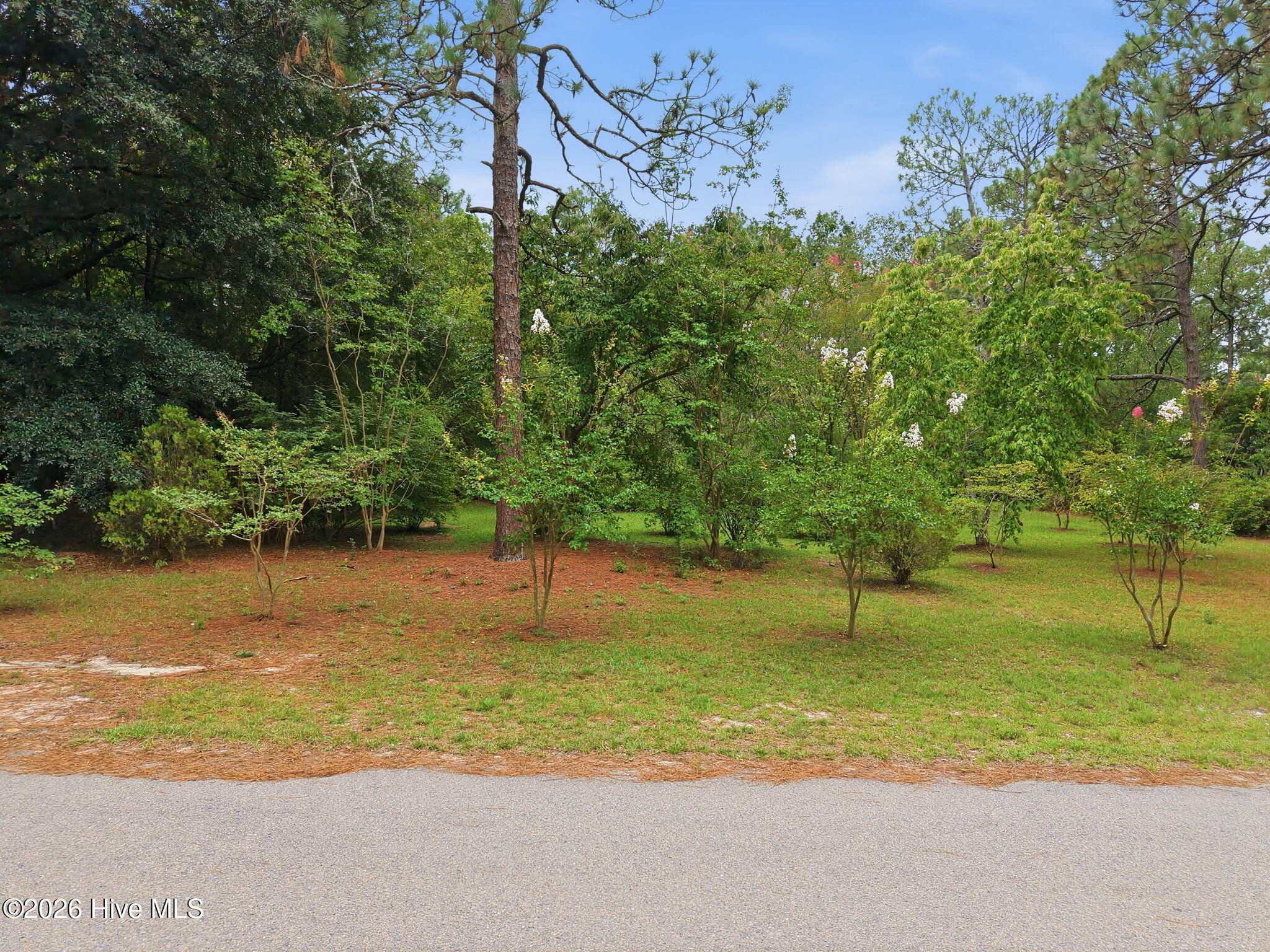 265 Mcdairmid Road Property Photo 14