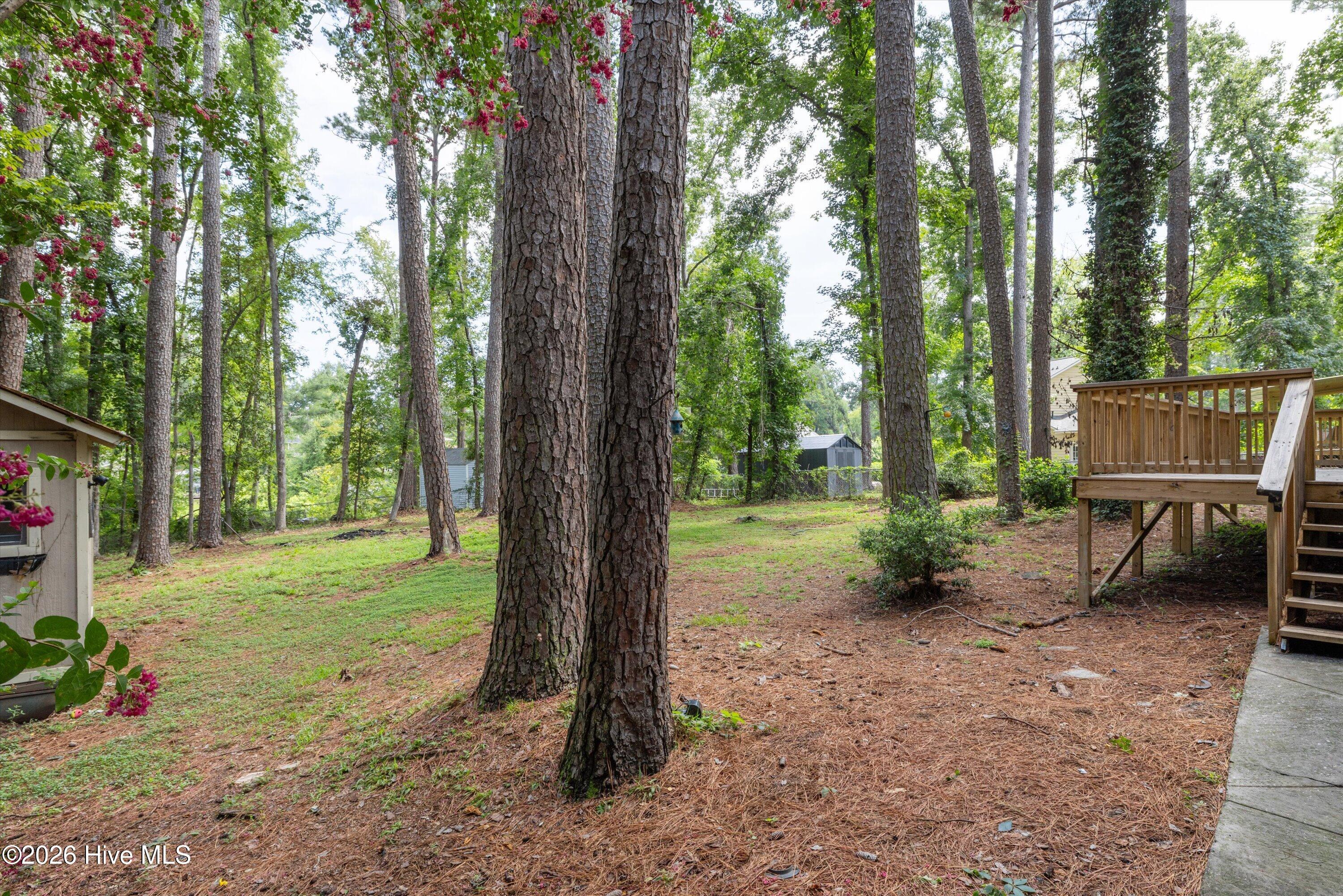 318 Hackamore Trail Property Photo 24
