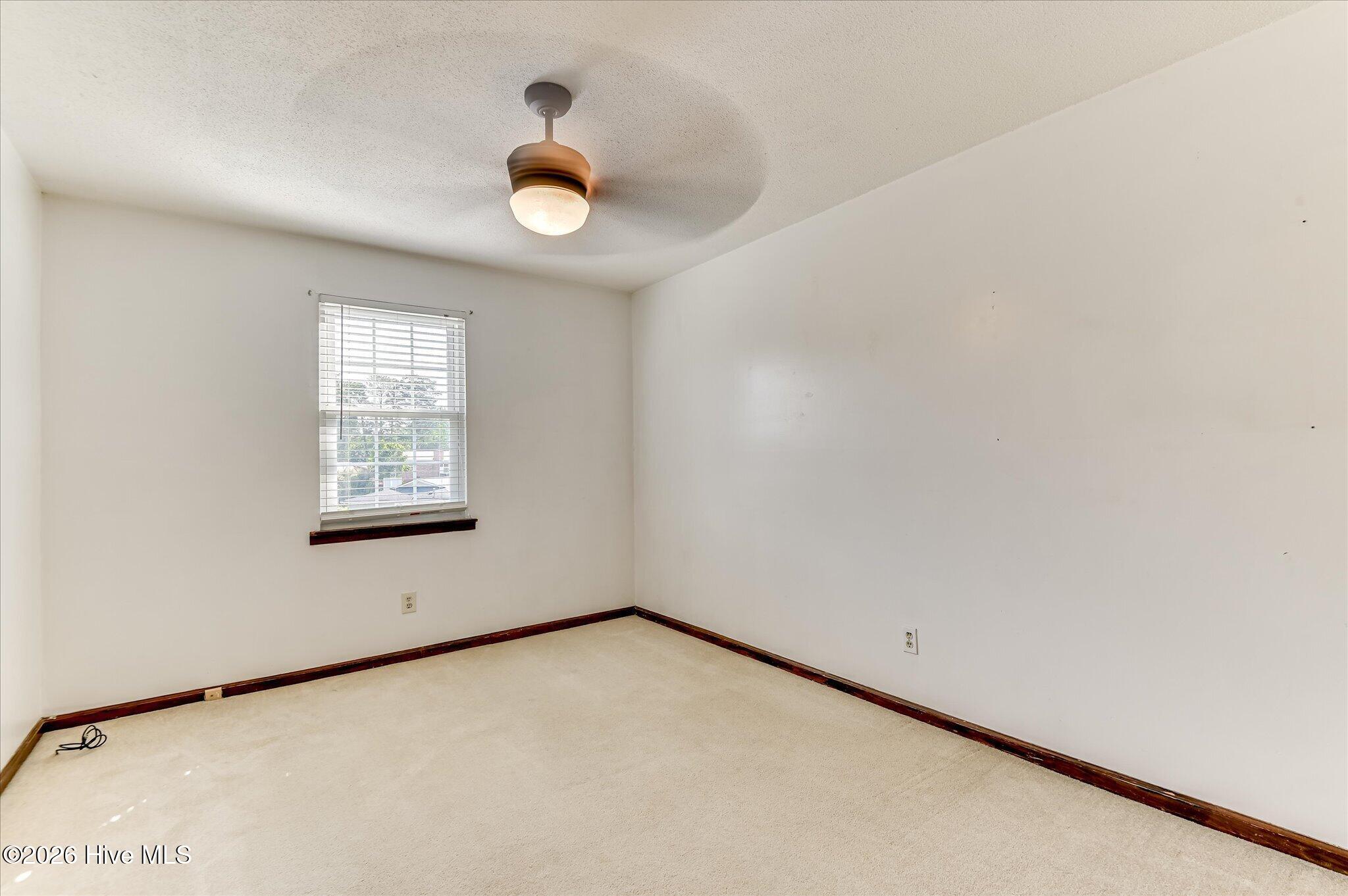 4341 Holiday Terrace Property Photo 32