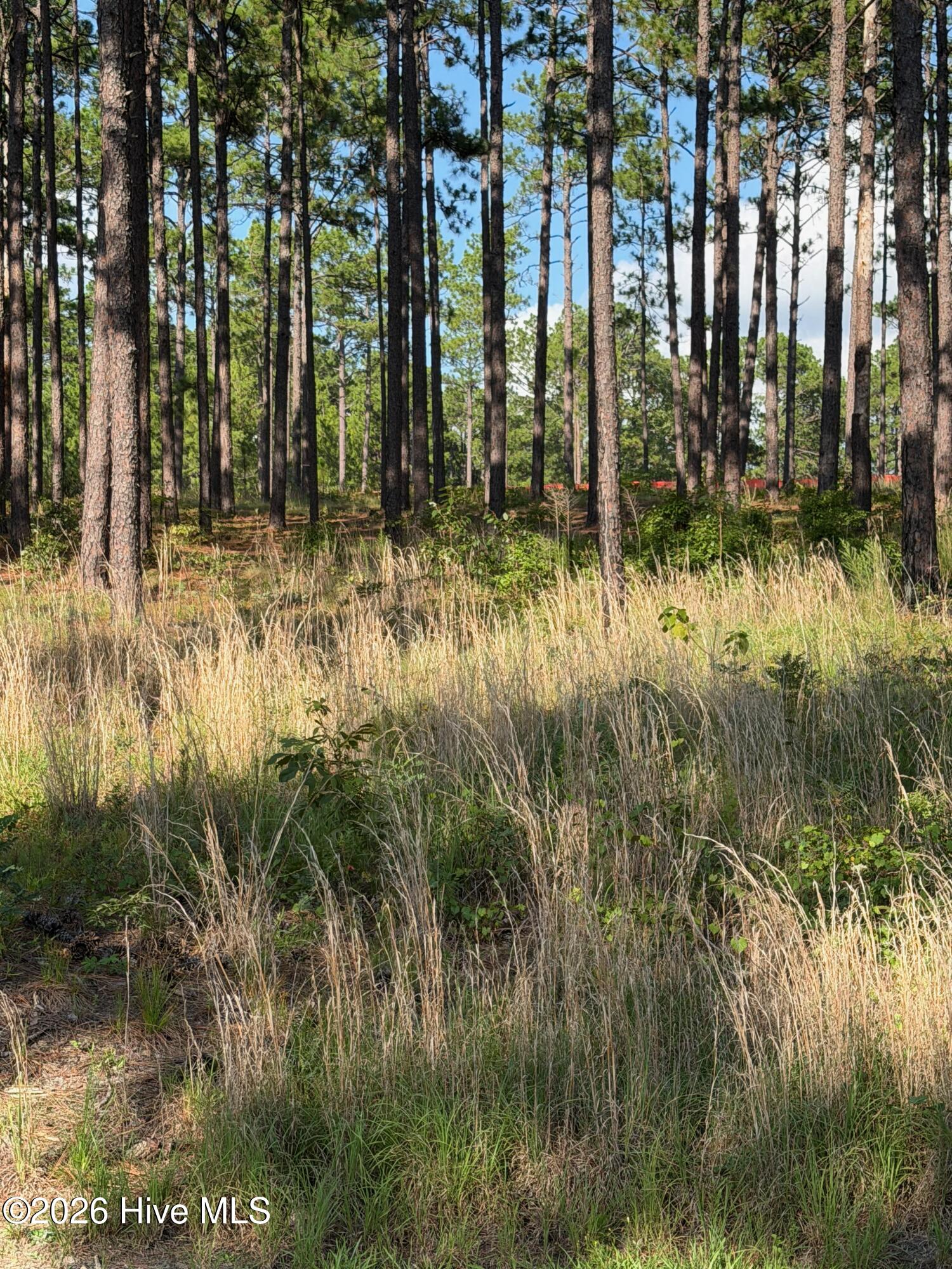 481 N Fort Bragg Road Property Photo 1