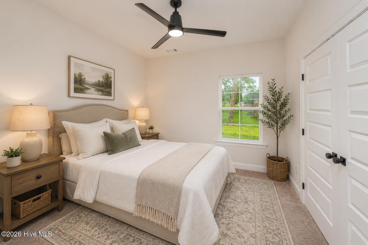 48 Jones Street Property Photo 15