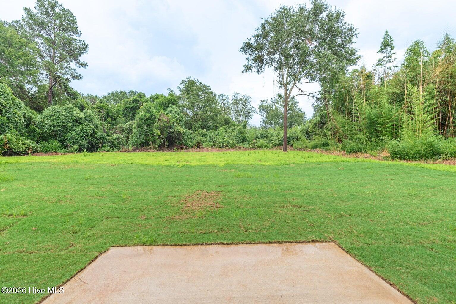 48 Jones Street Property Photo 27