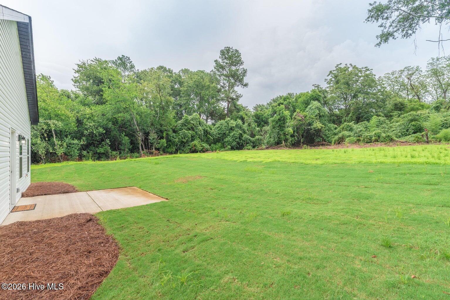 48 Jones Street Property Photo 30