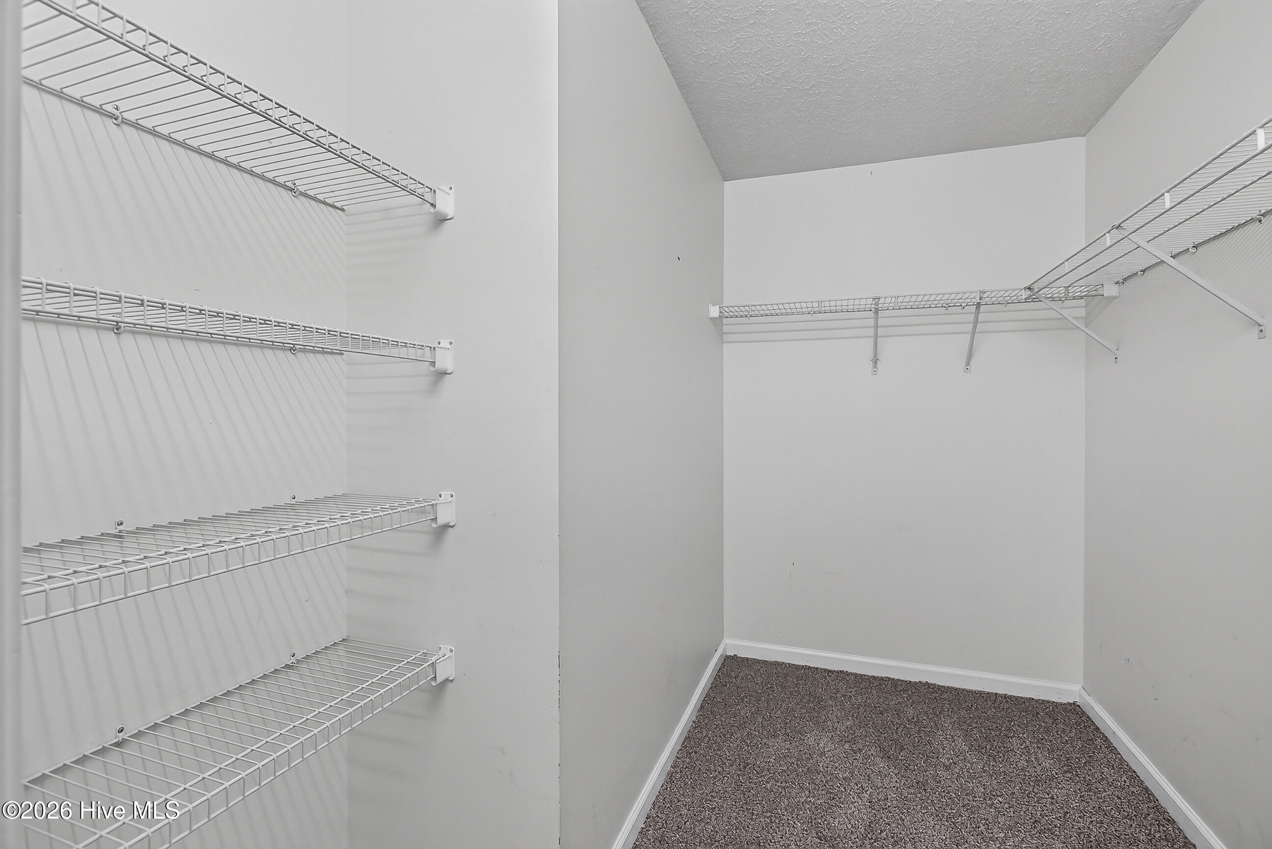 103 Butternut Circle Property Photo 21