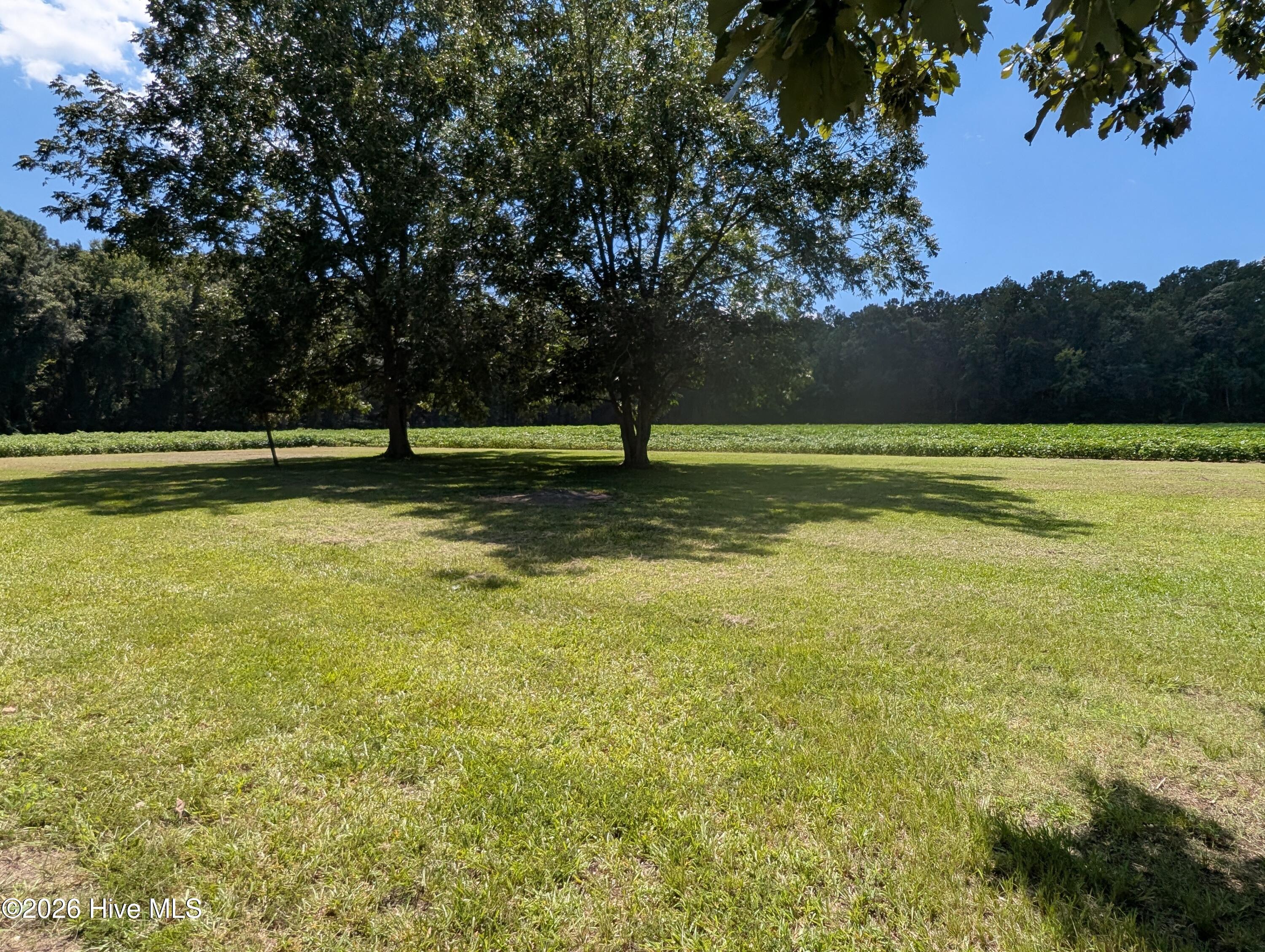 1626 Nathan Roberson Road Property Photo 11