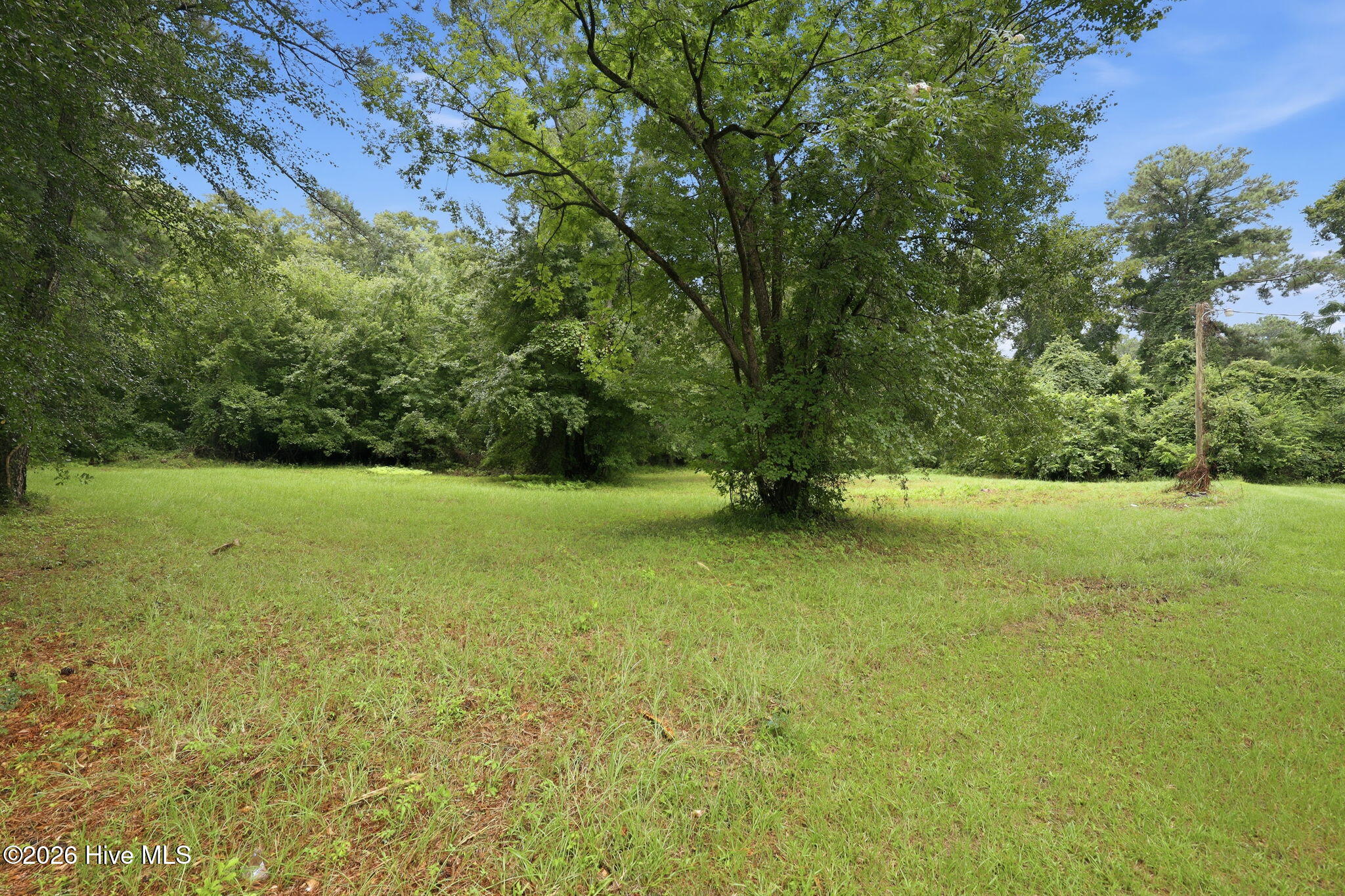 205 Streets Ferry Road Property Photo 73