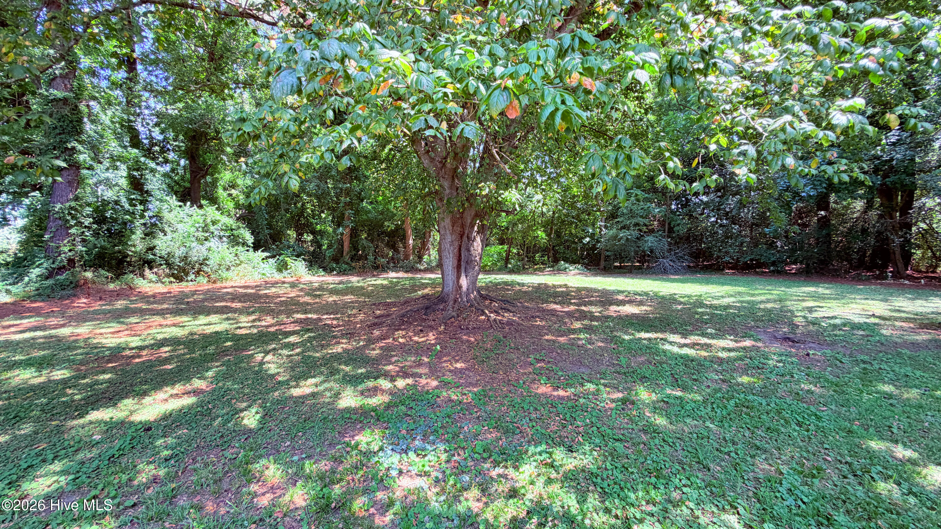 226 Happy Home Road Property Photo 20