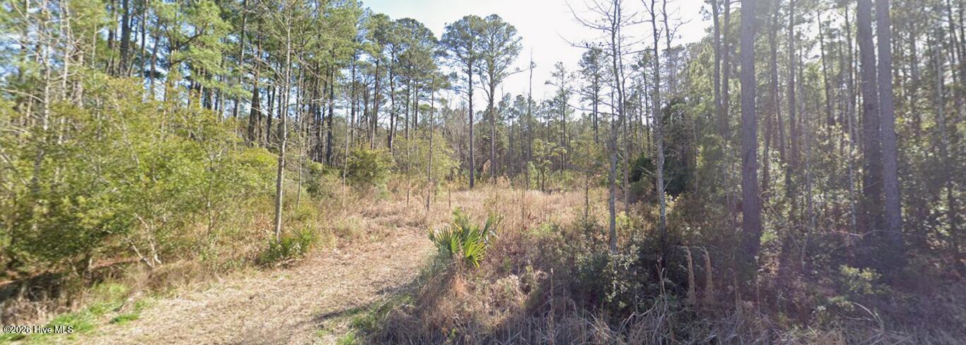 111 N Harbor Drive Property Photo 2