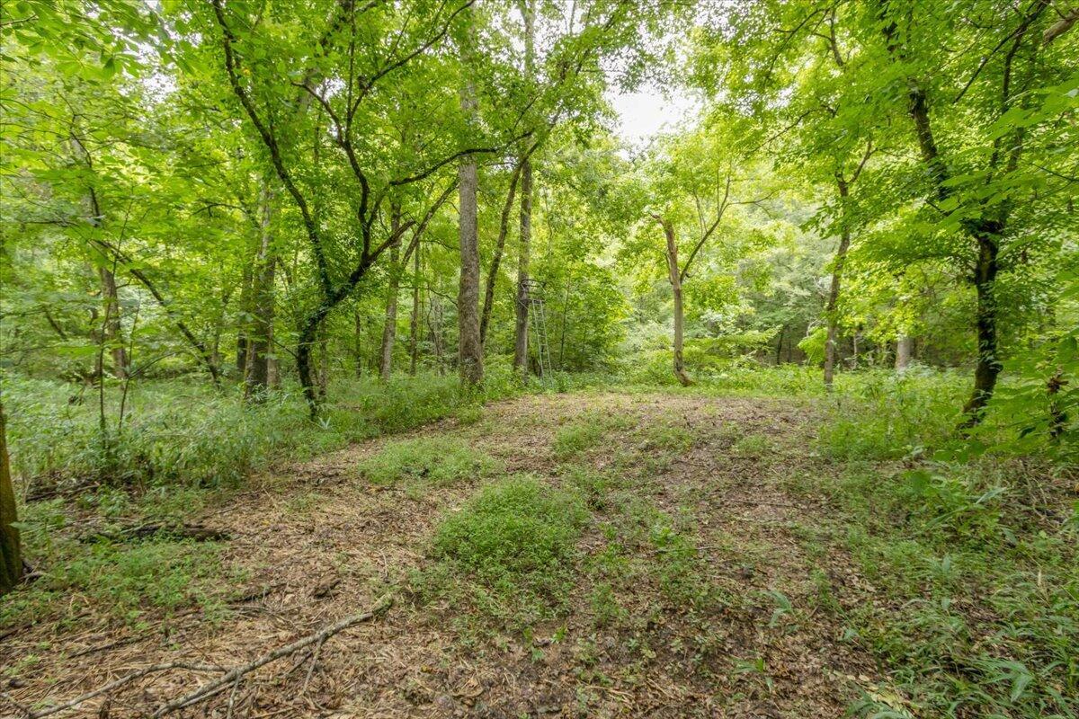 706 William Avenue Property Photo 55