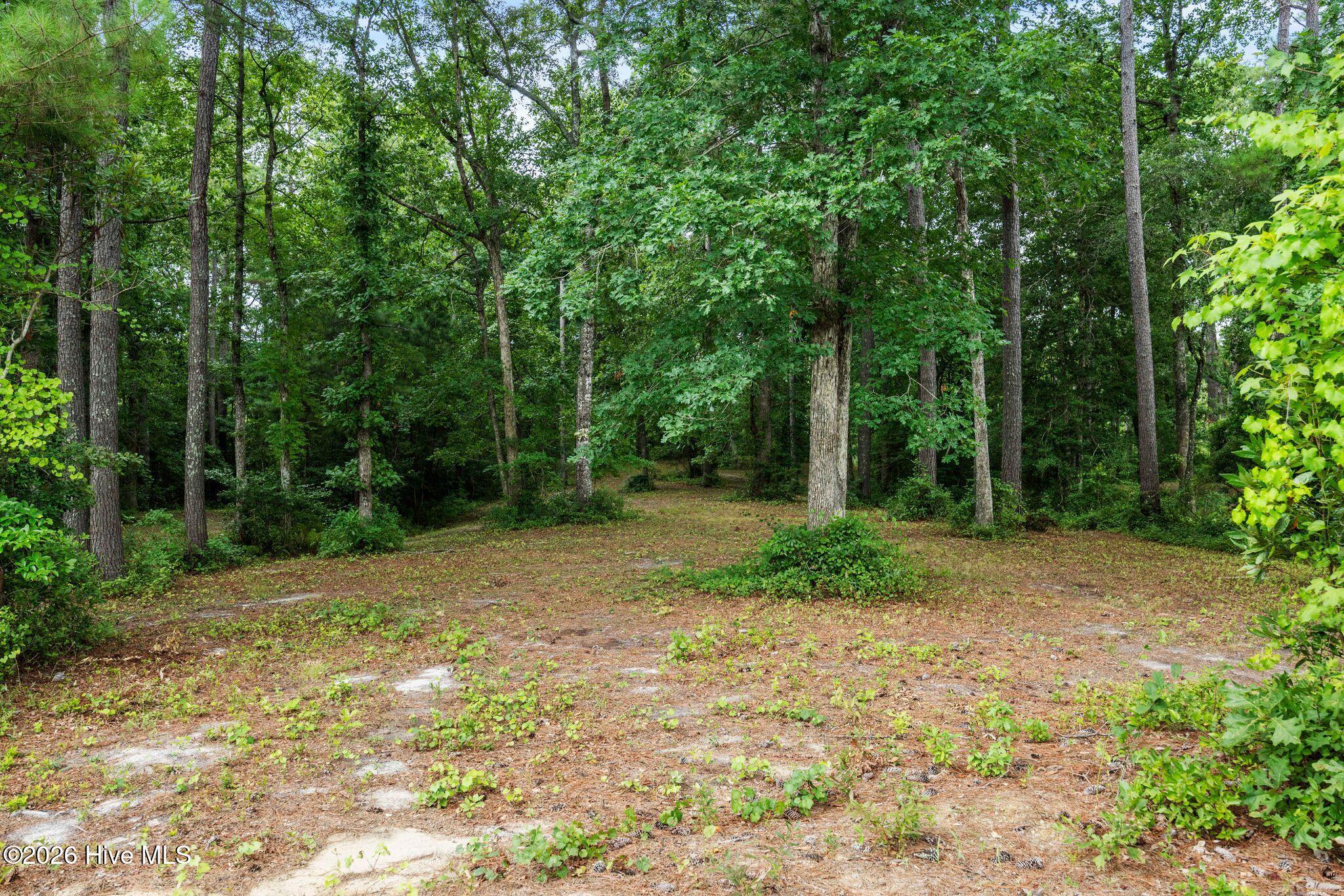 3695 River Park Way Ne Property Photo 5