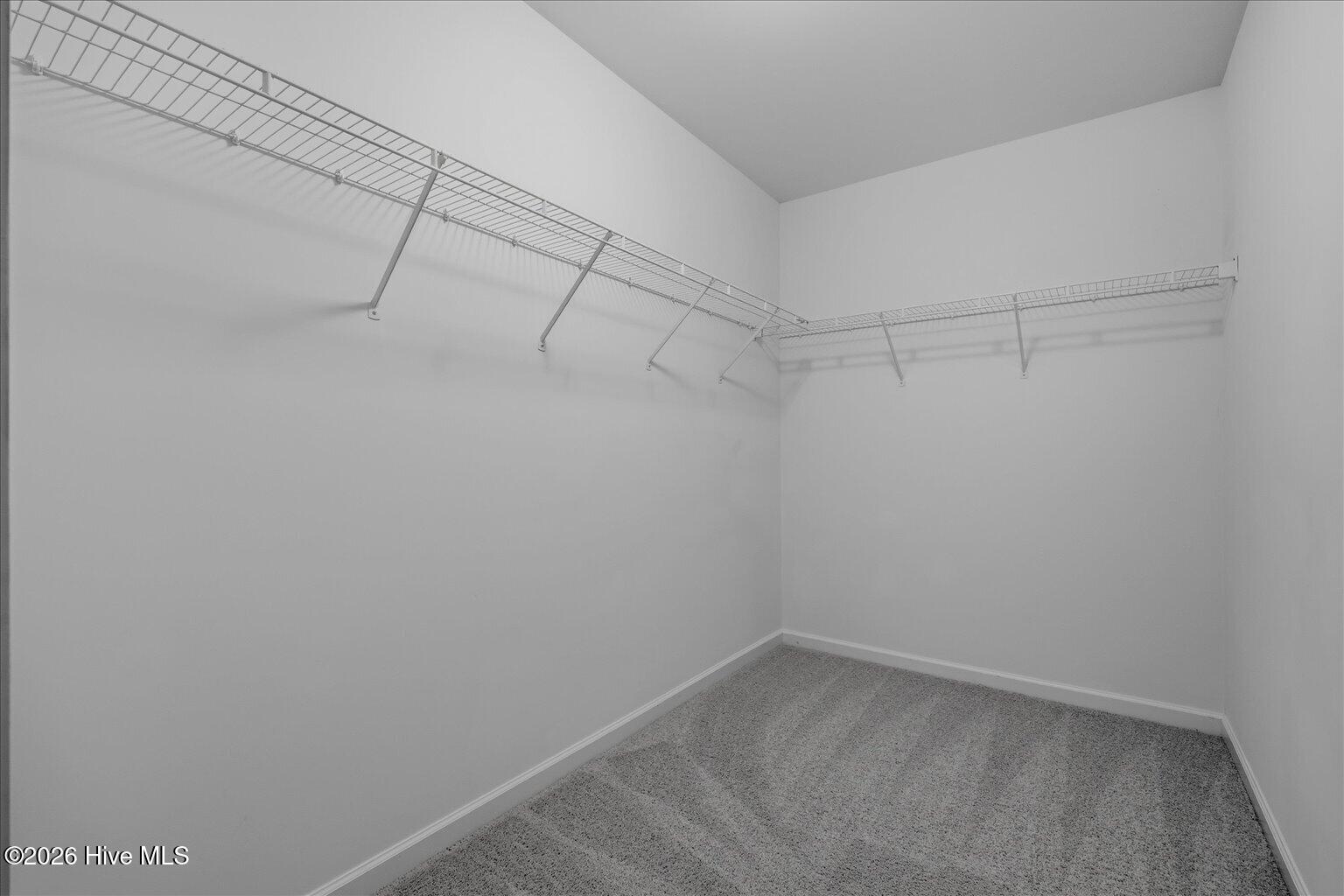 8534 Jadewood Drive Property Photo 37