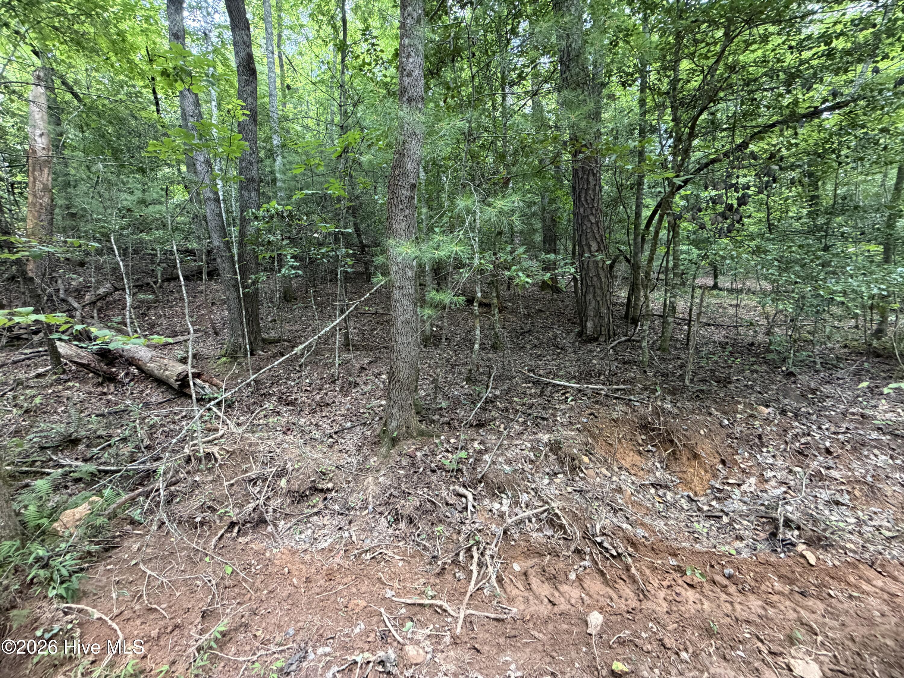 5.85 Ac Emory Shield Road Property Photo 2
