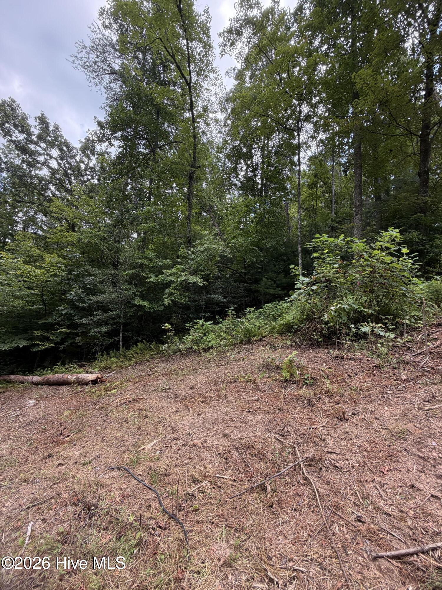 5.85 Ac Emory Shield Road Property Photo 3