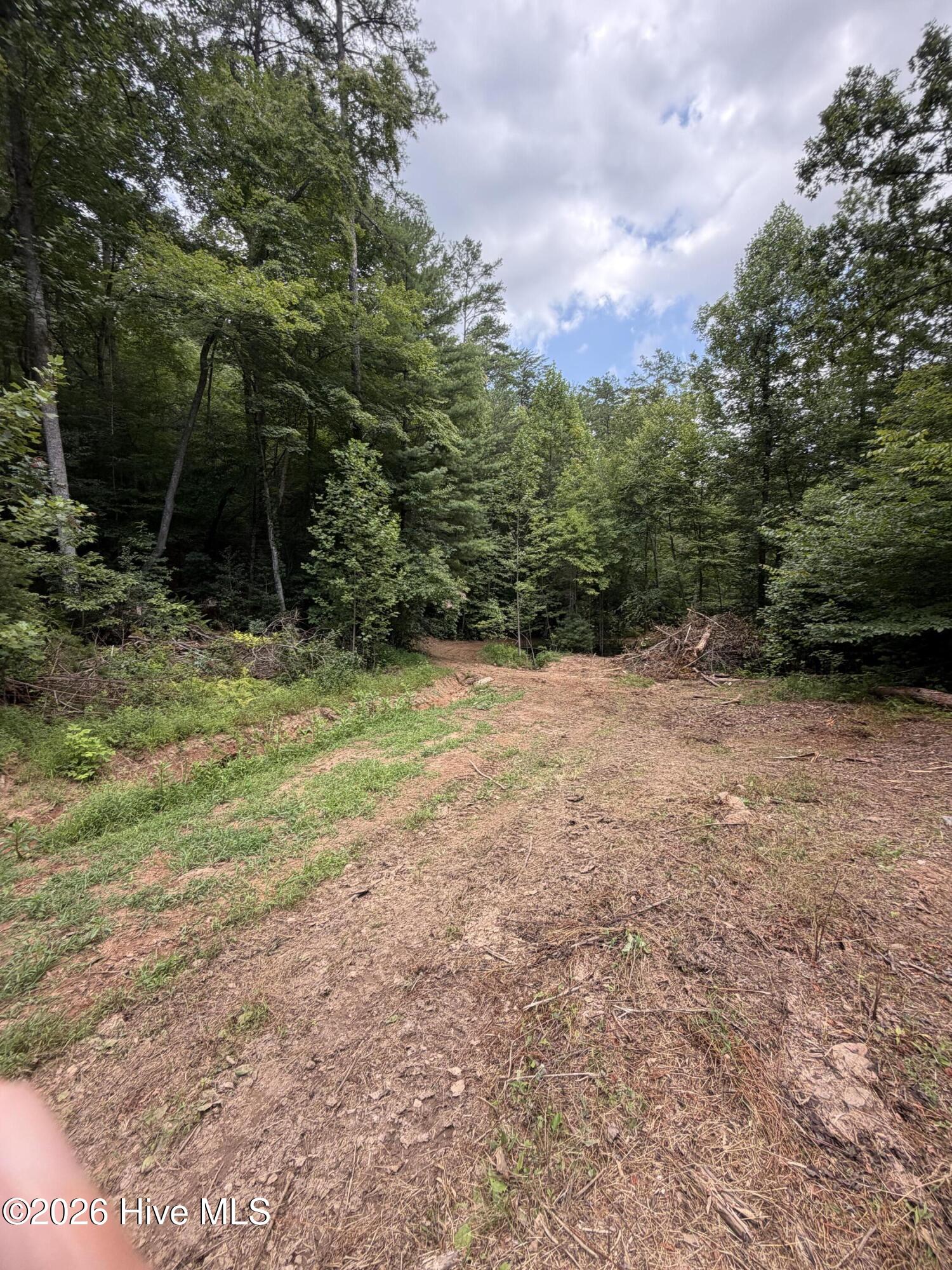 5.85 Ac Emory Shield Road Property Photo 4
