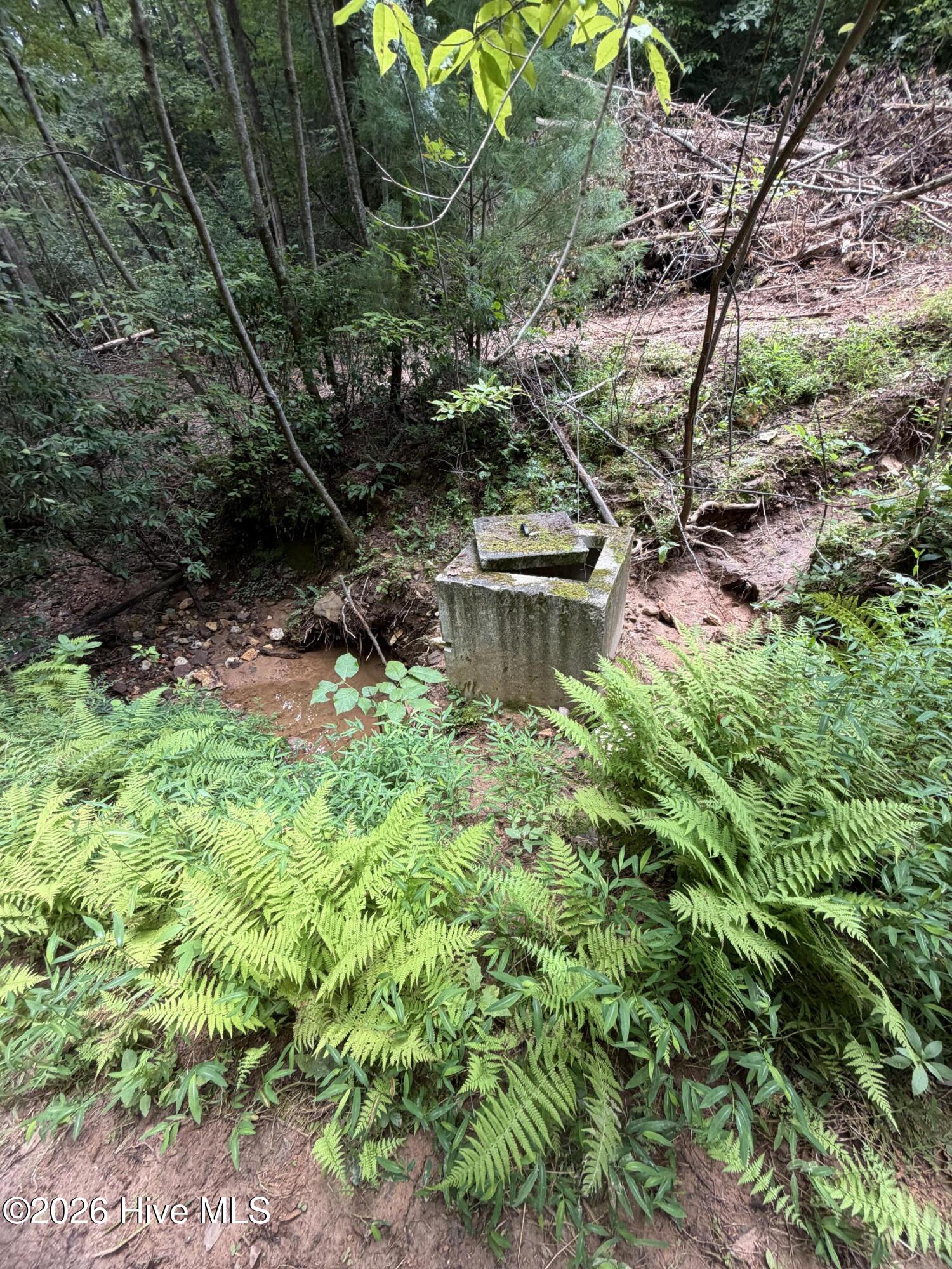 5.85 Ac Emory Shield Road Property Photo 5