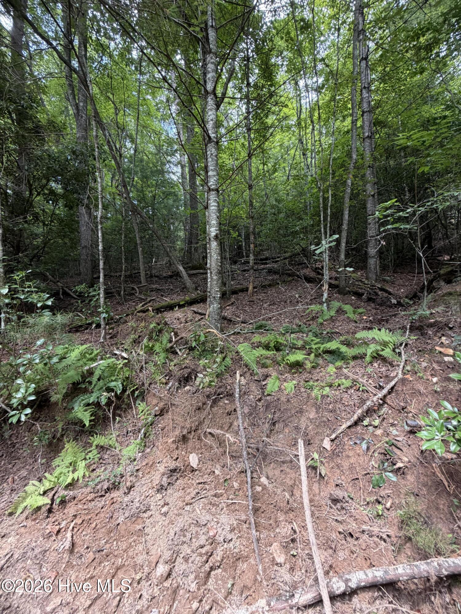 5.85 Ac Emory Shield Road Property Photo 7
