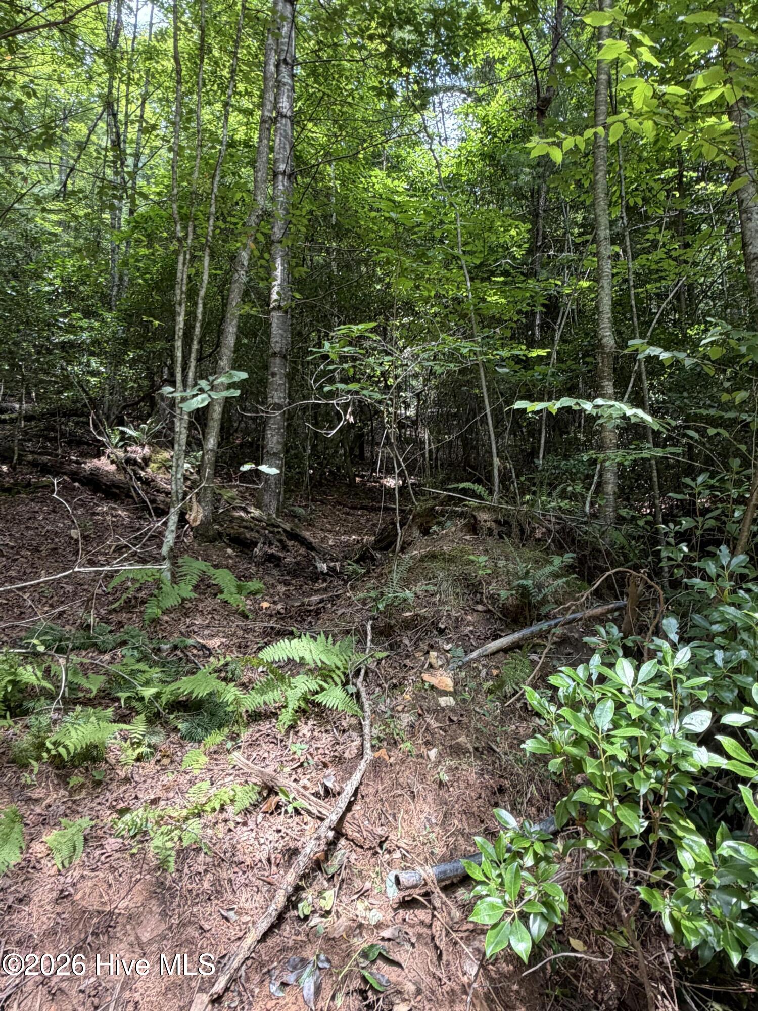 5.85 Ac Emory Shield Road Property Photo 8