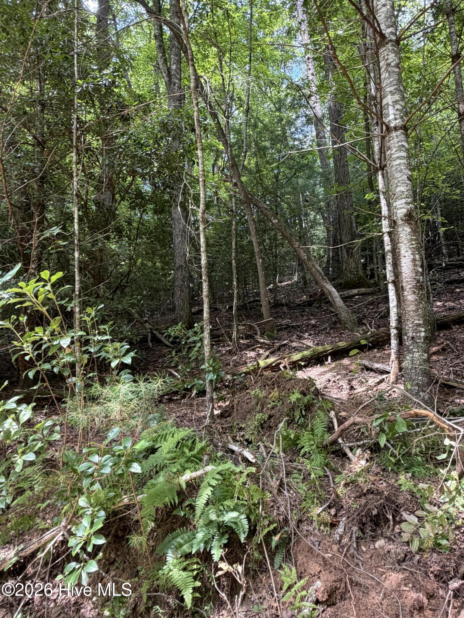 5.85 Ac Emory Shield Road Property Photo 9