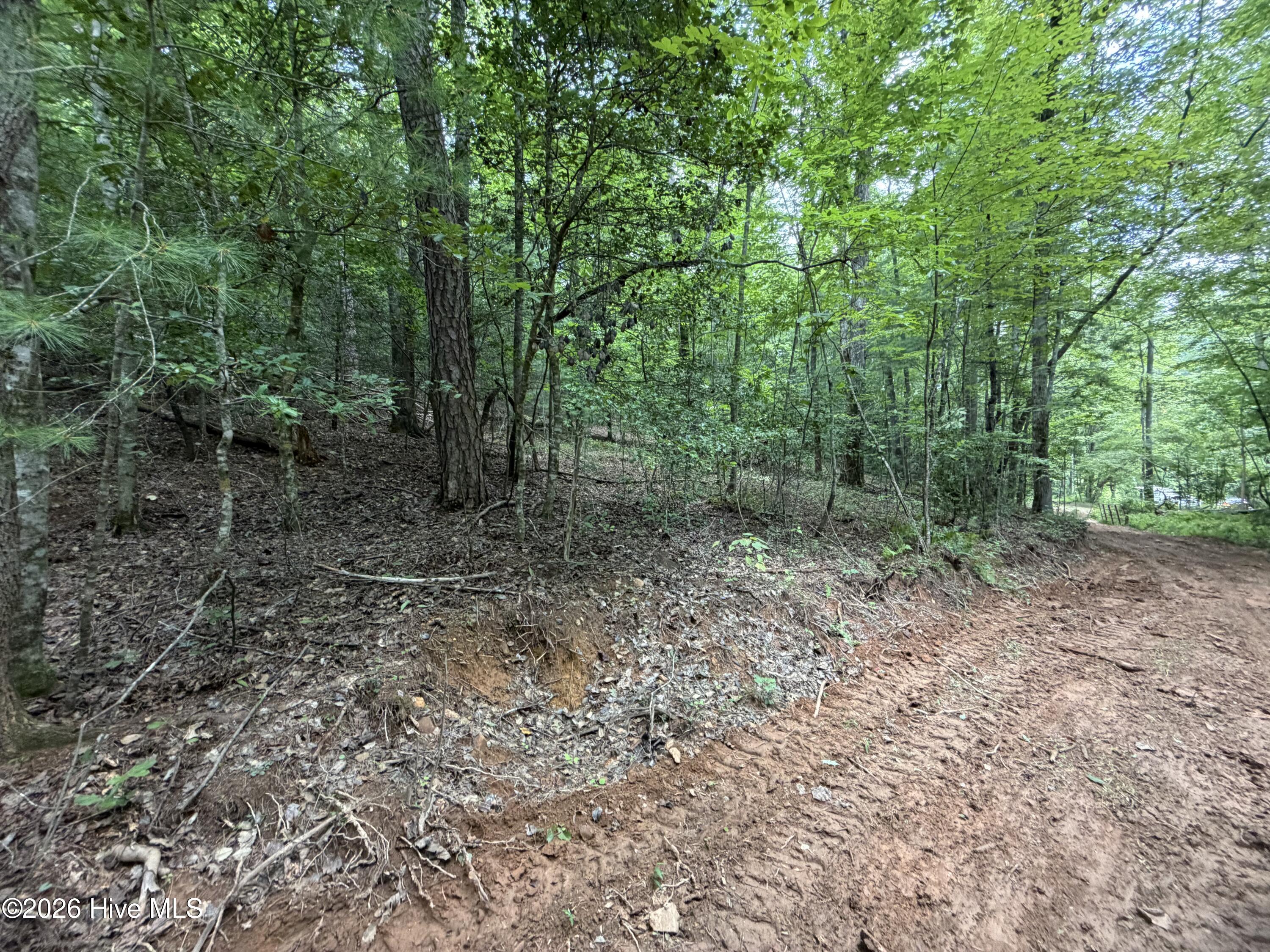 5.85 Ac Emory Shield Road Property Photo 13