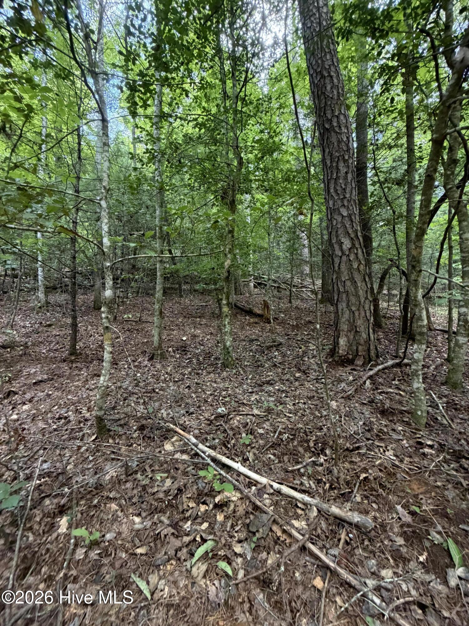 5.85 Ac Emory Shield Road Property Photo 14