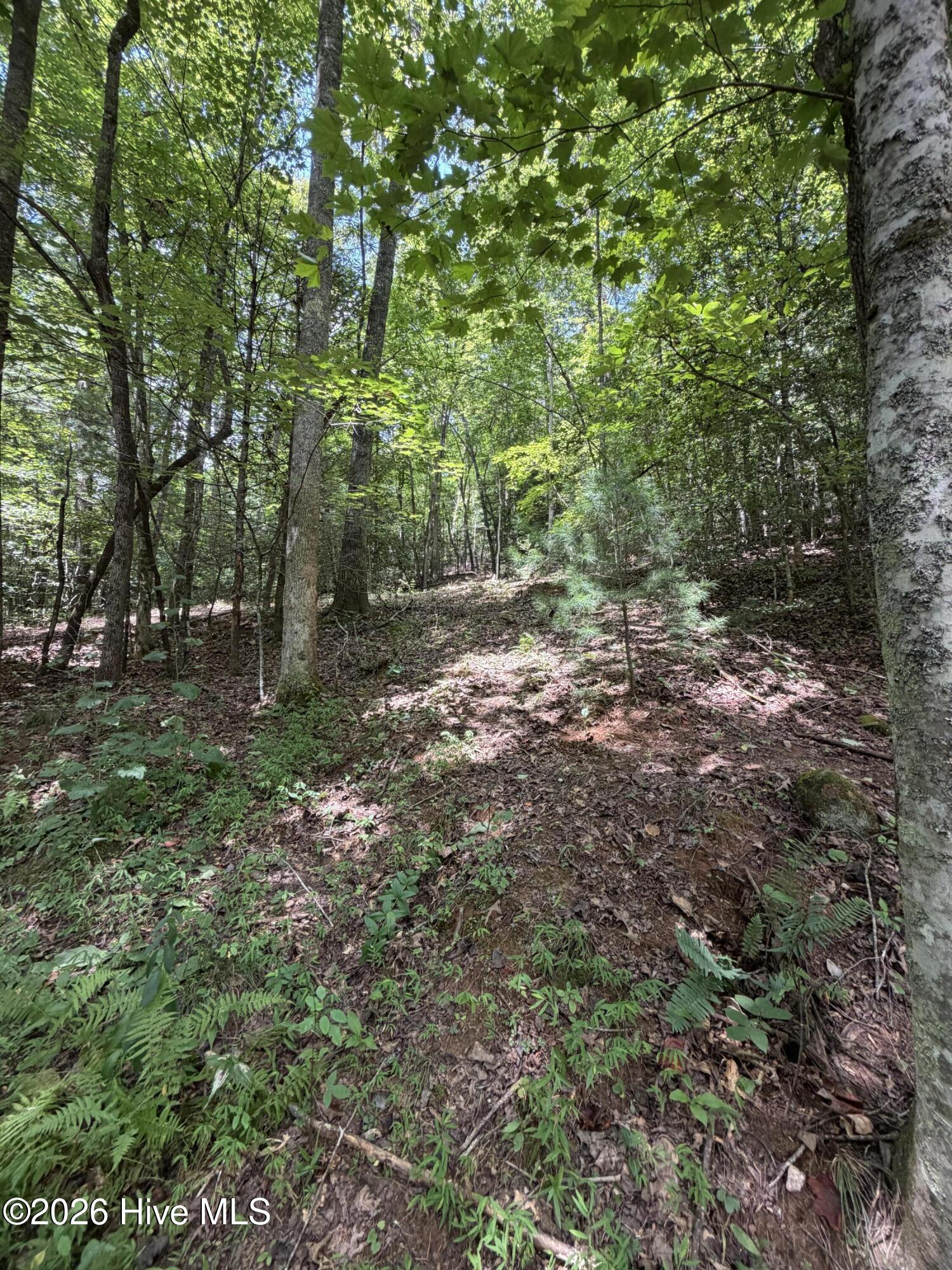 5.85 Ac Emory Shield Road Property Photo 15