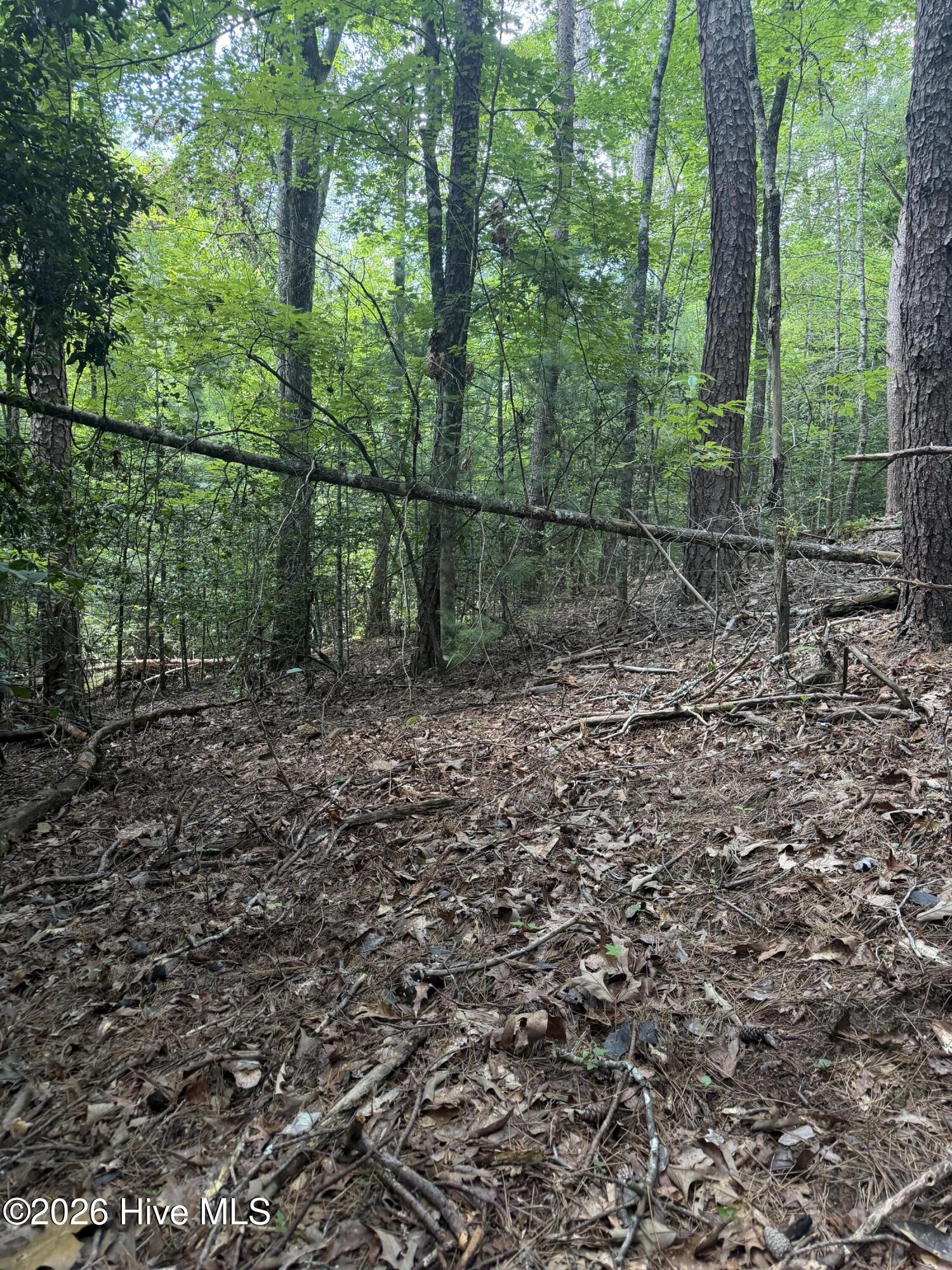 5.85 Ac Emory Shield Road Property Photo 16