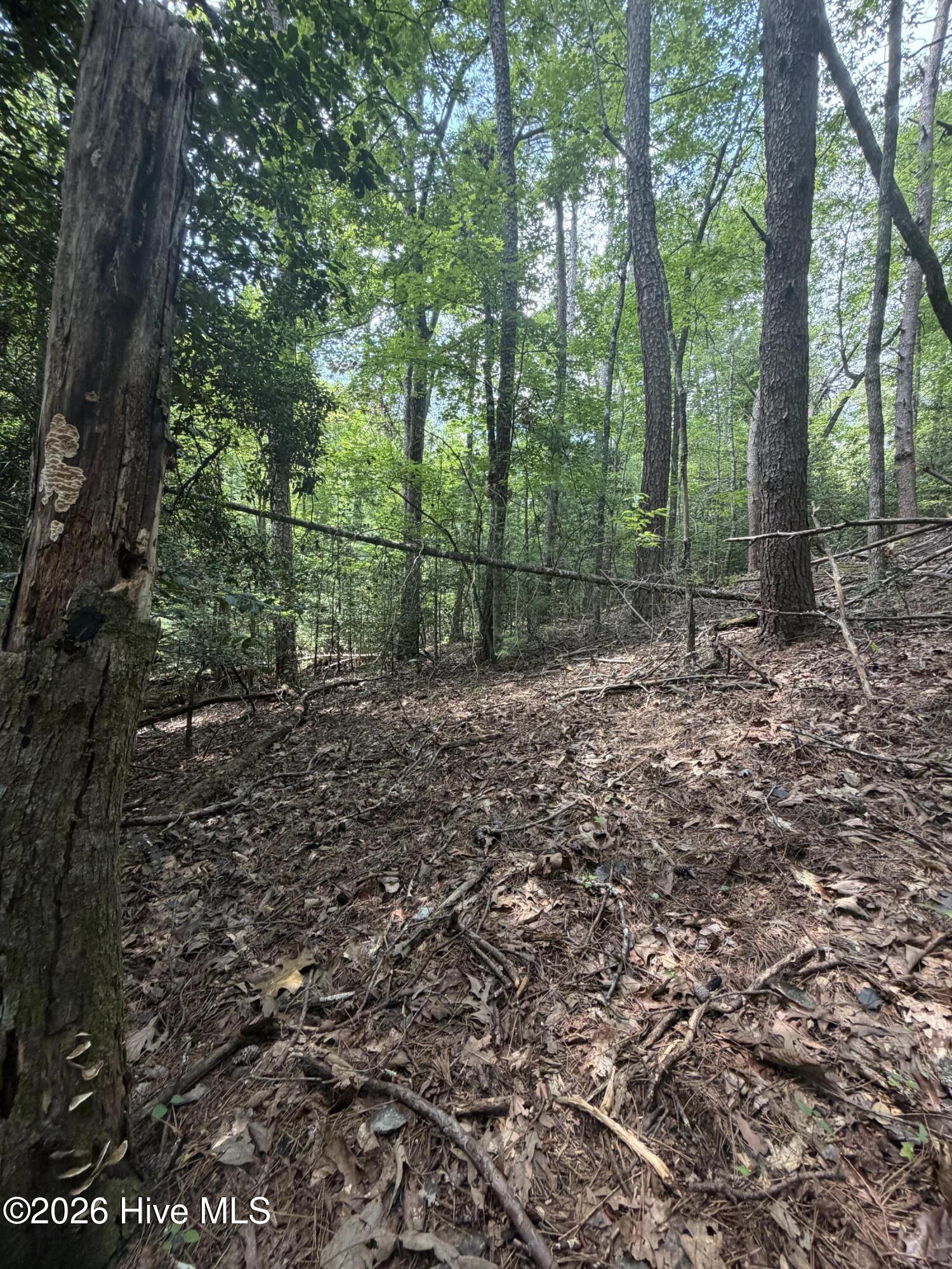 5.85 Ac Emory Shield Road Property Photo 17