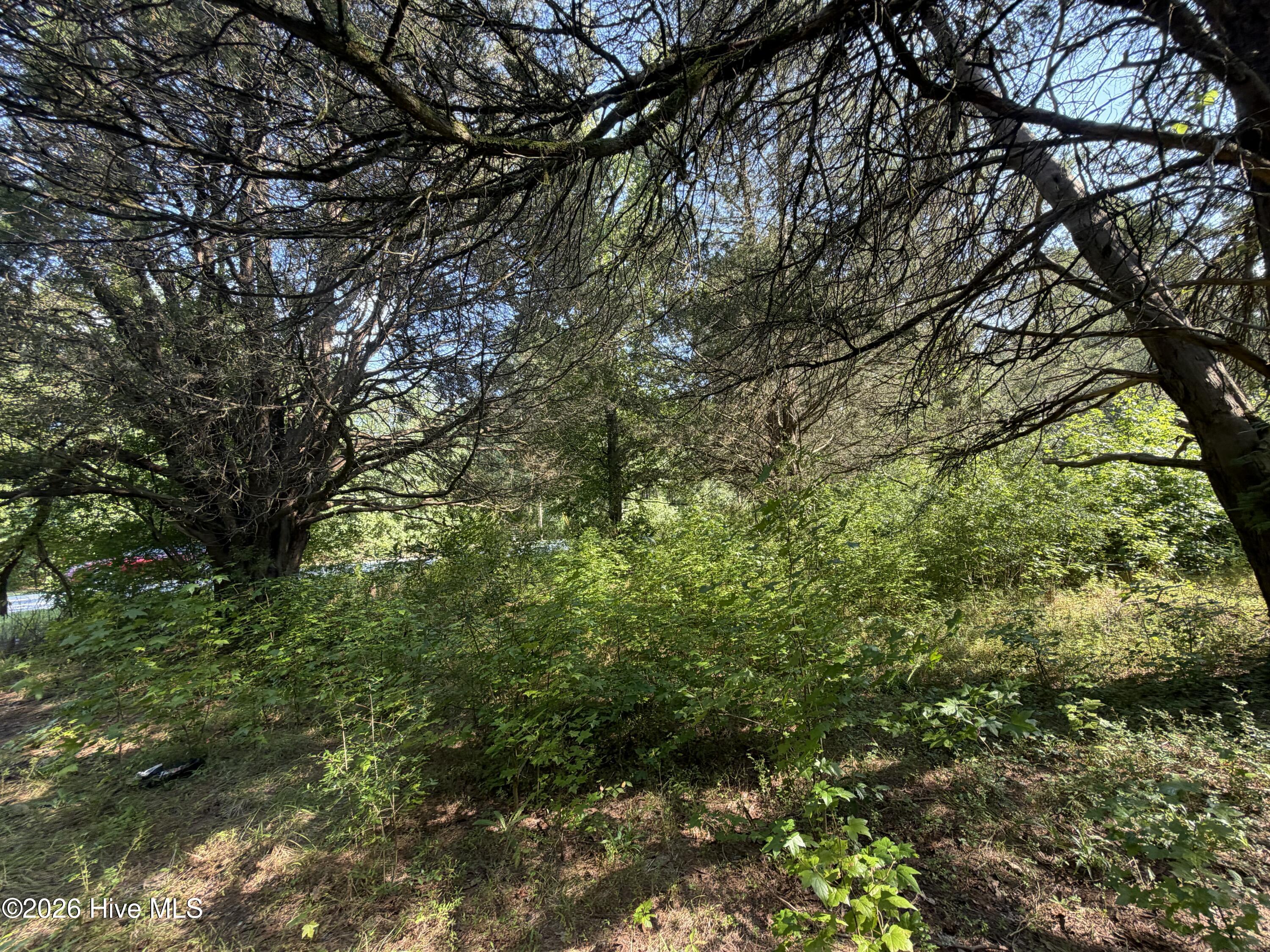 809 Dry Monia Road Property Photo 4