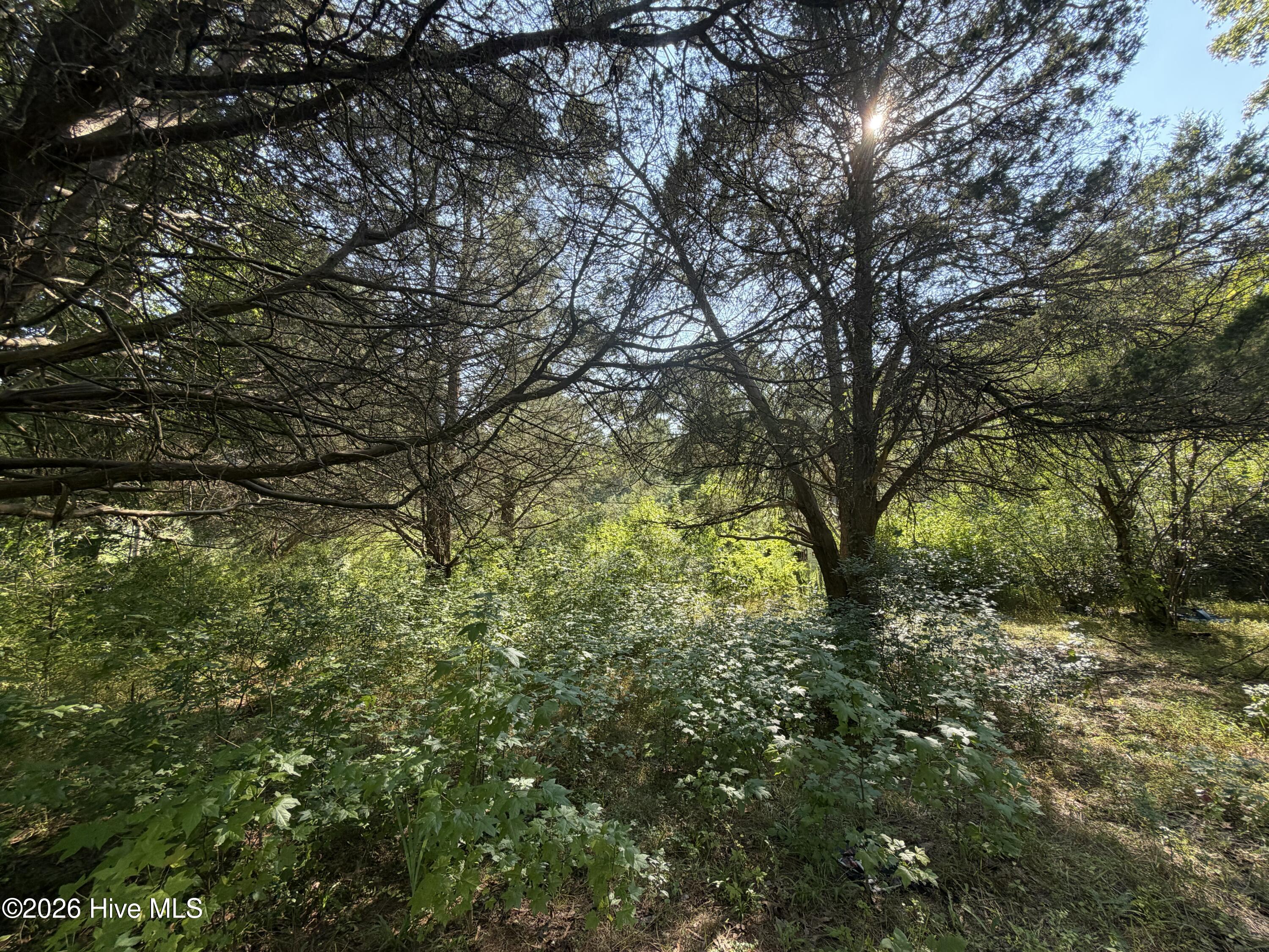 809 Dry Monia Road Property Photo 6
