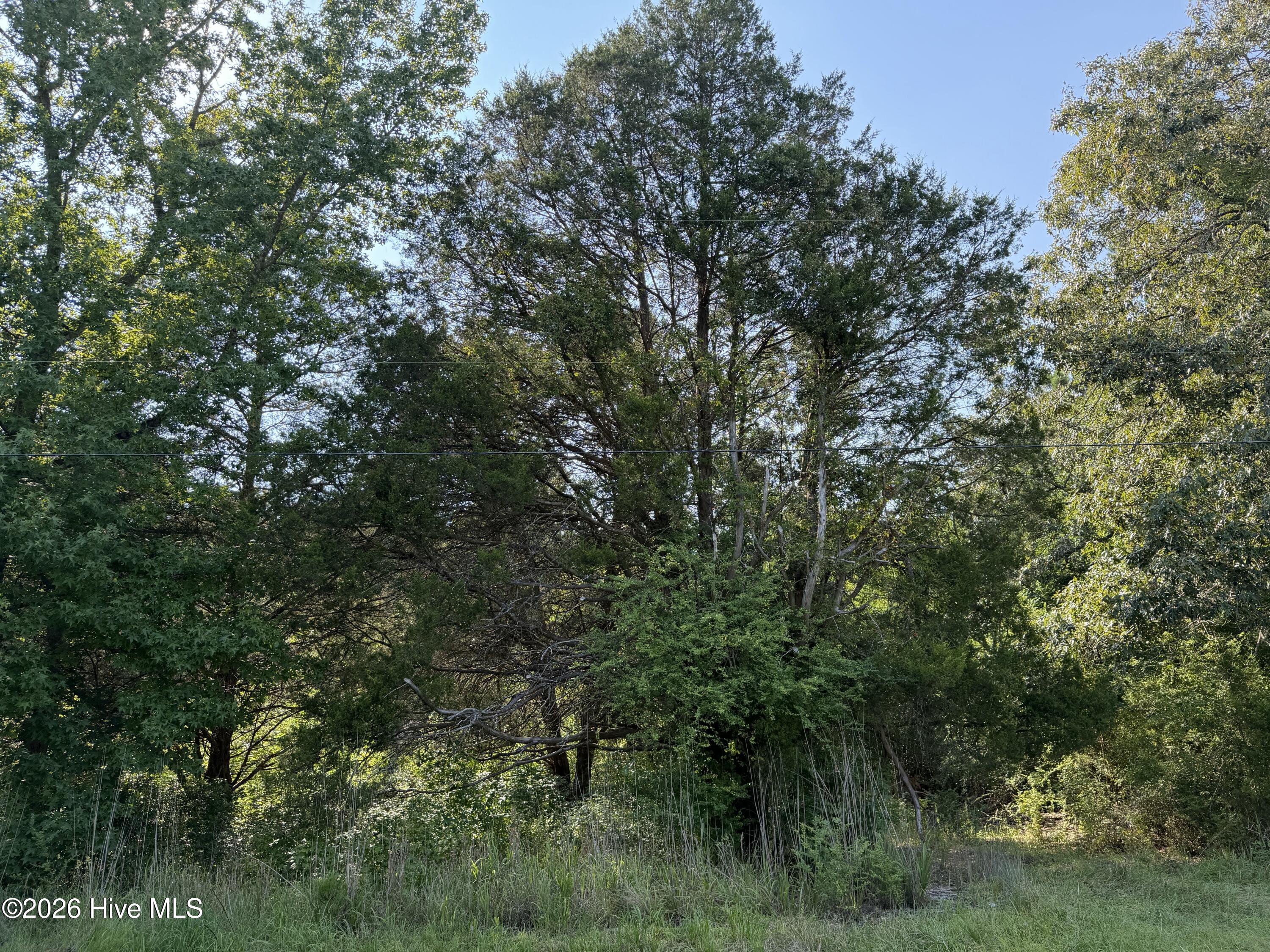 809 Dry Monia Road Property Photo 9