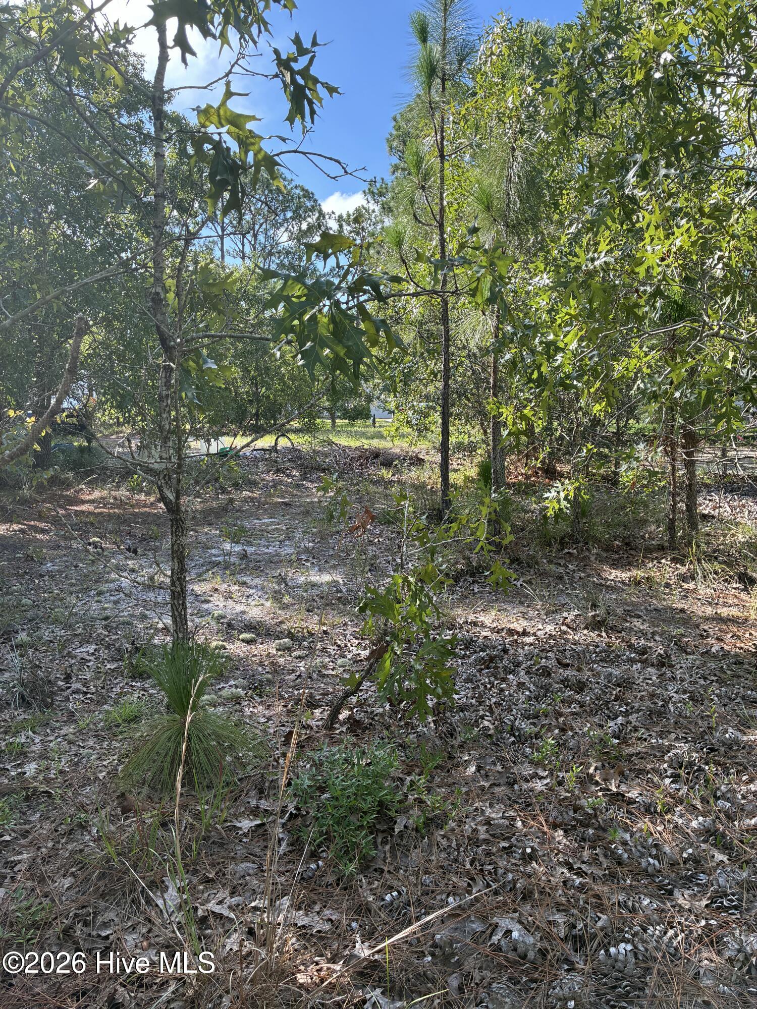 98 L-90 Fairway Drive Property Photo 6