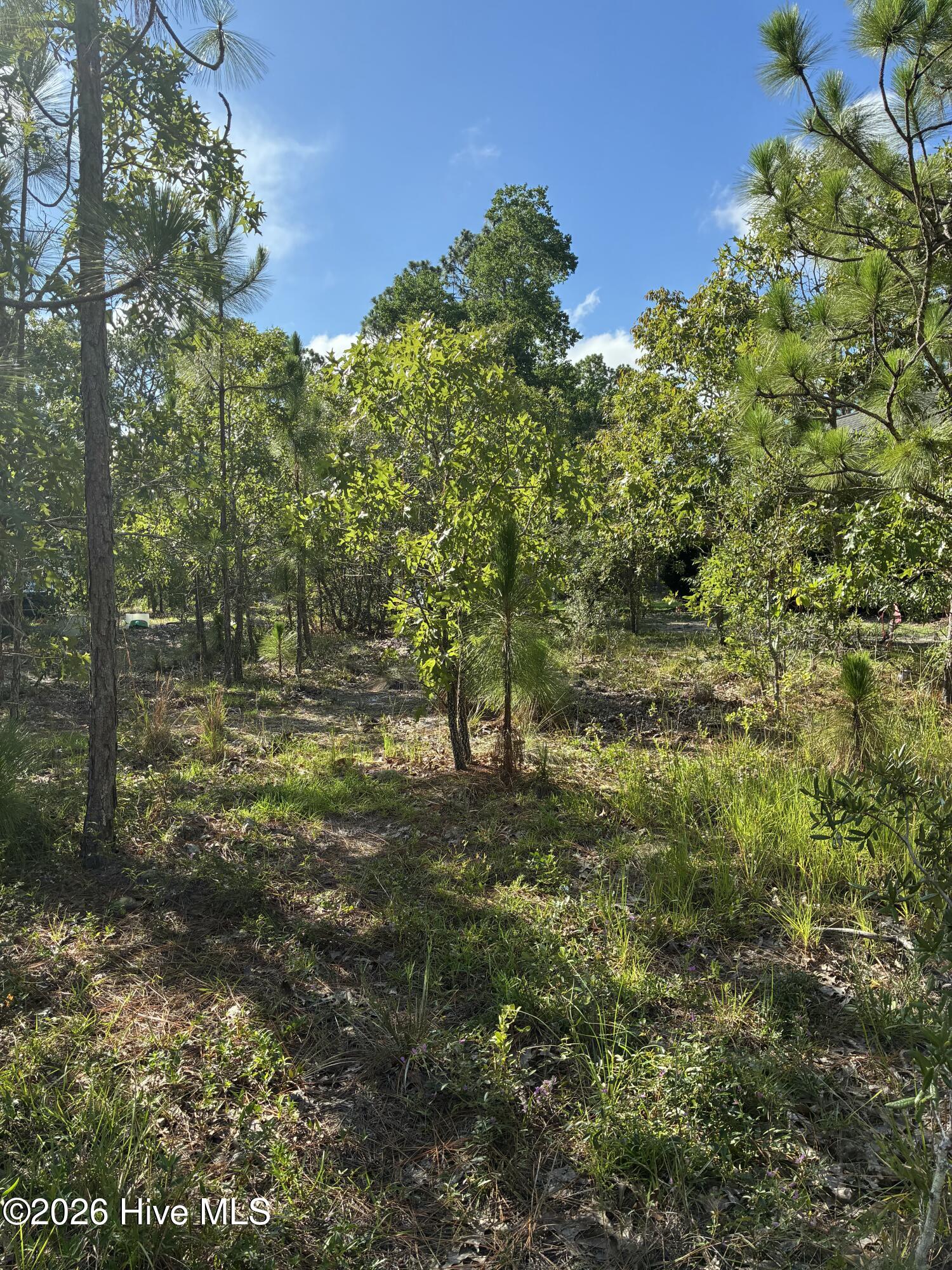 98 L-90 Fairway Drive Property Photo 7
