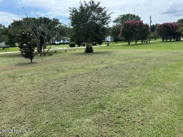 152 Martin Luther Road Property Photo 28