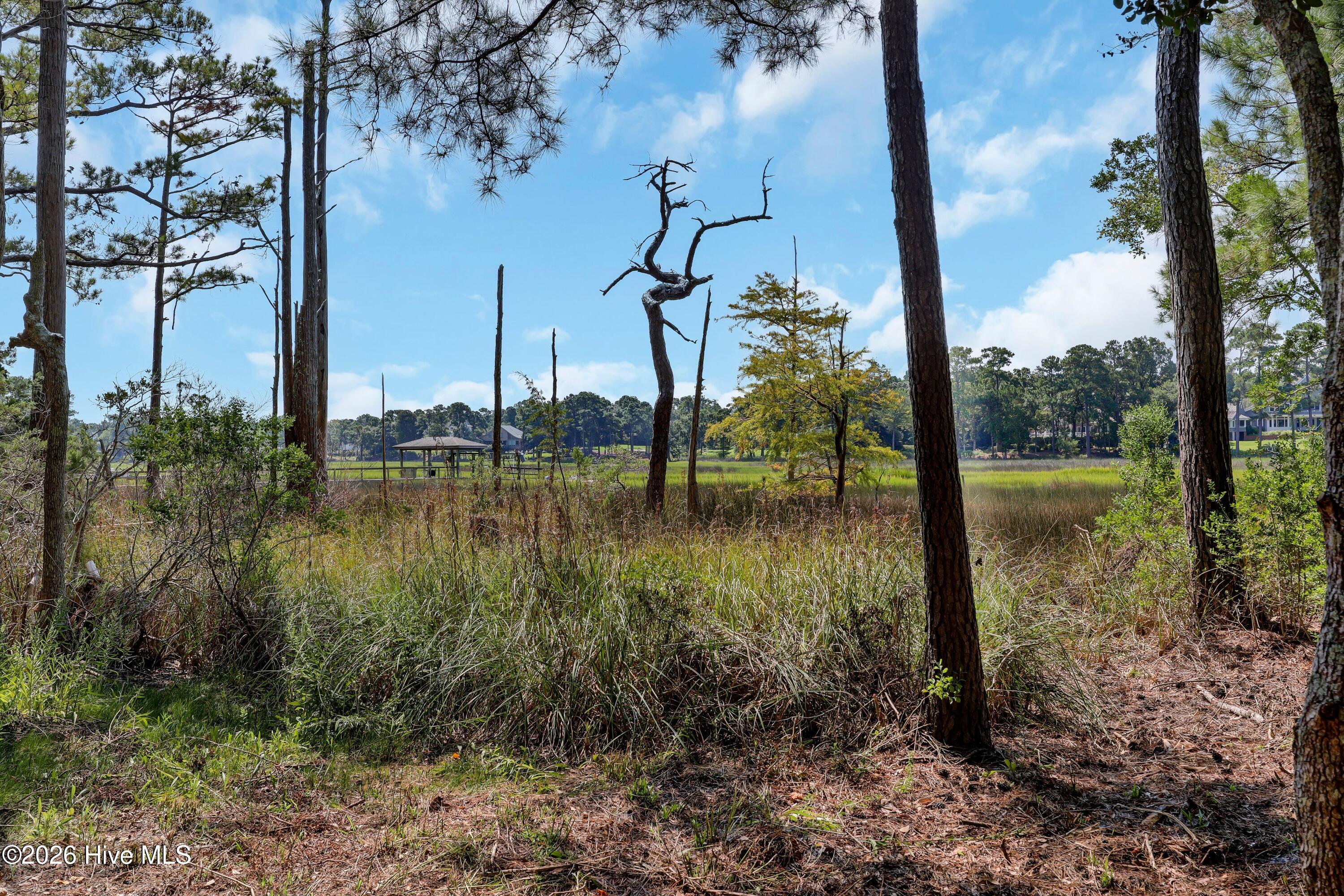 6308 Timber Creek Lane Property Photo 40