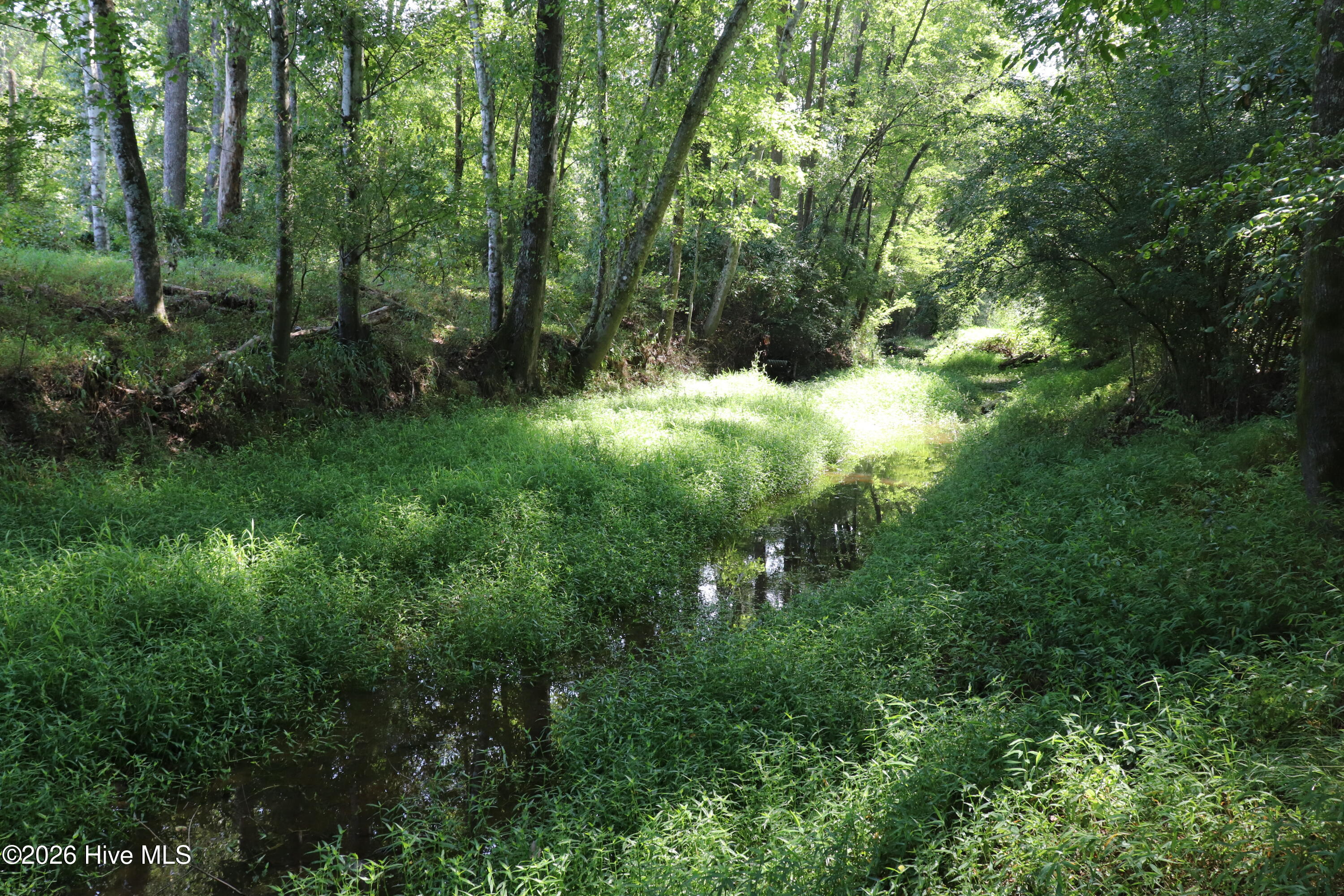 Tbd Martin Luther King Junior Drive Property Photo 20