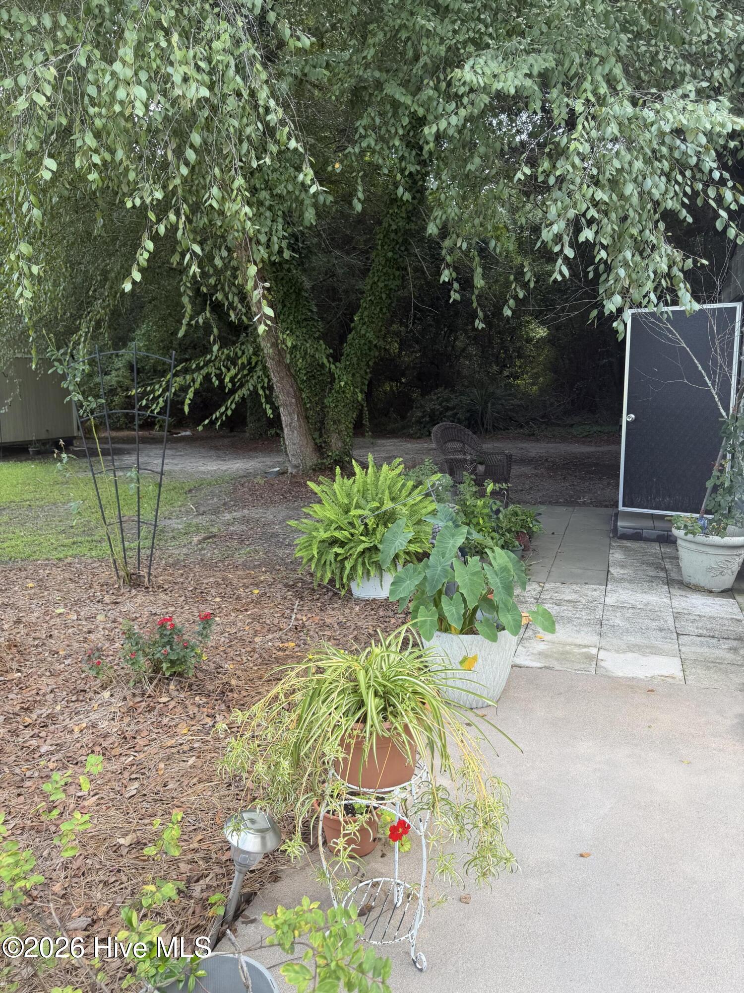 1589 Carl Stephens Road Property Photo 69