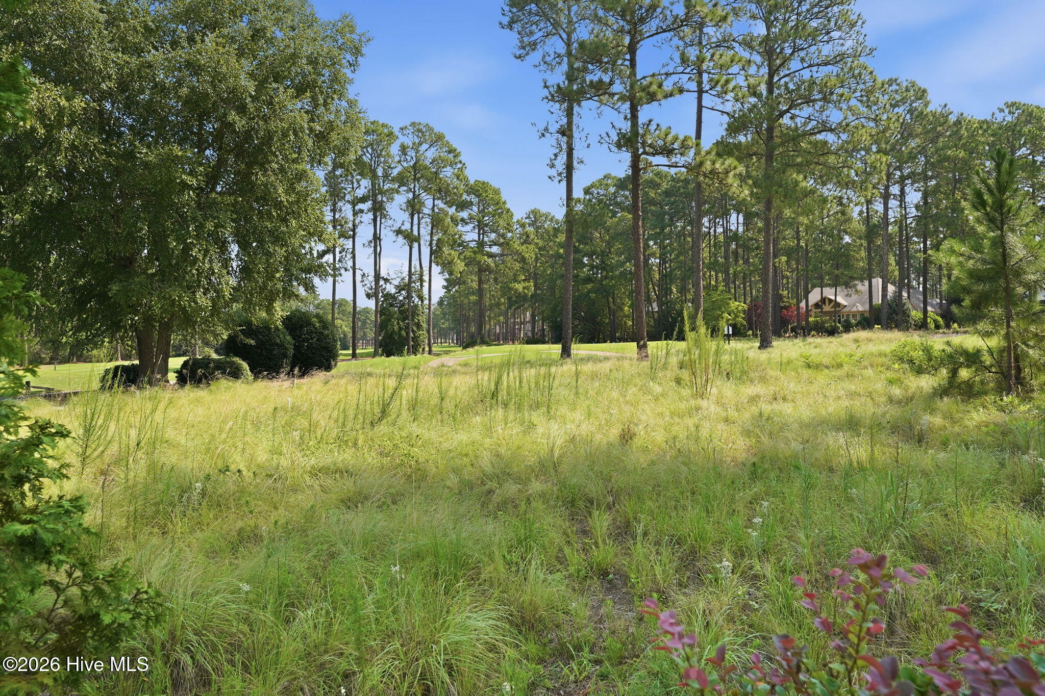 172 Champions Ridge Drive Property Photo 52